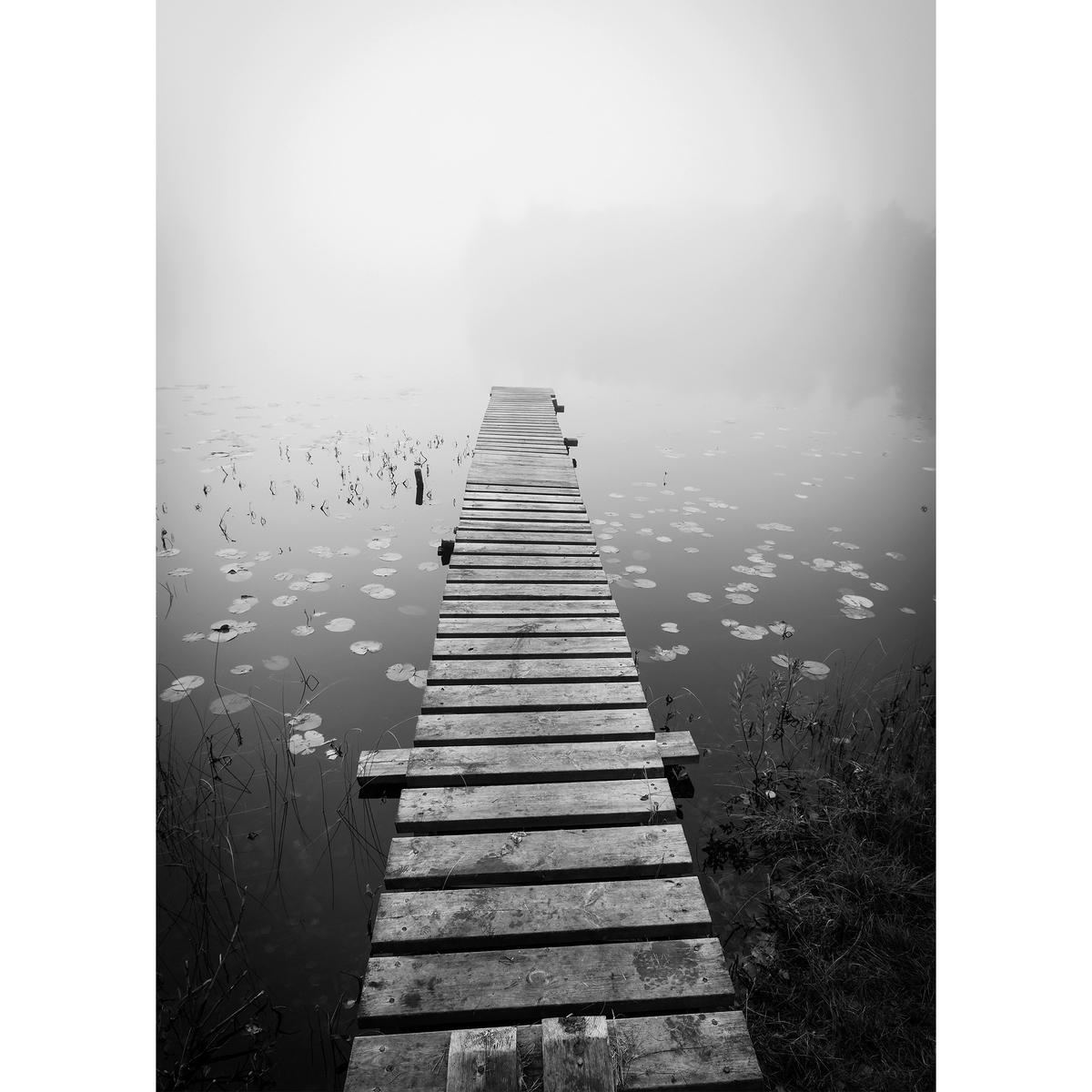 PLAKÁT VINCENT - vícebarevná, papír (50/70cm) - Modern Living