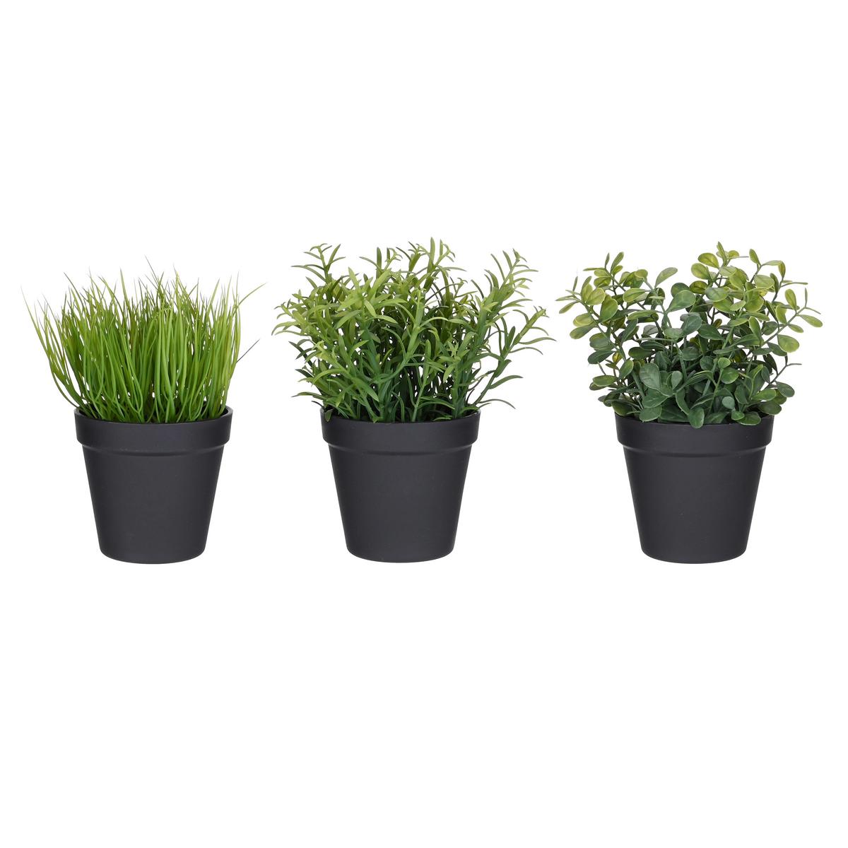 Kunstpflanze Alina - Schwarz/Grün, Basics, Kunststoff/Metall (8.8/18.5cm) - Luca Bessoni