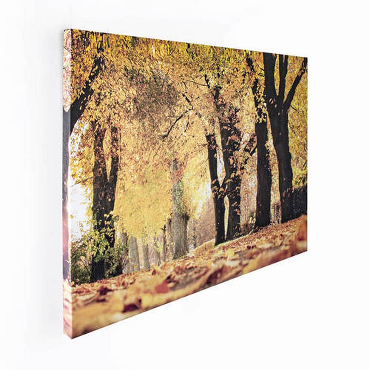 Leinwandbild Herbst - Multicolor, Basics, Wellpappe/Textil (75/100/3cm)