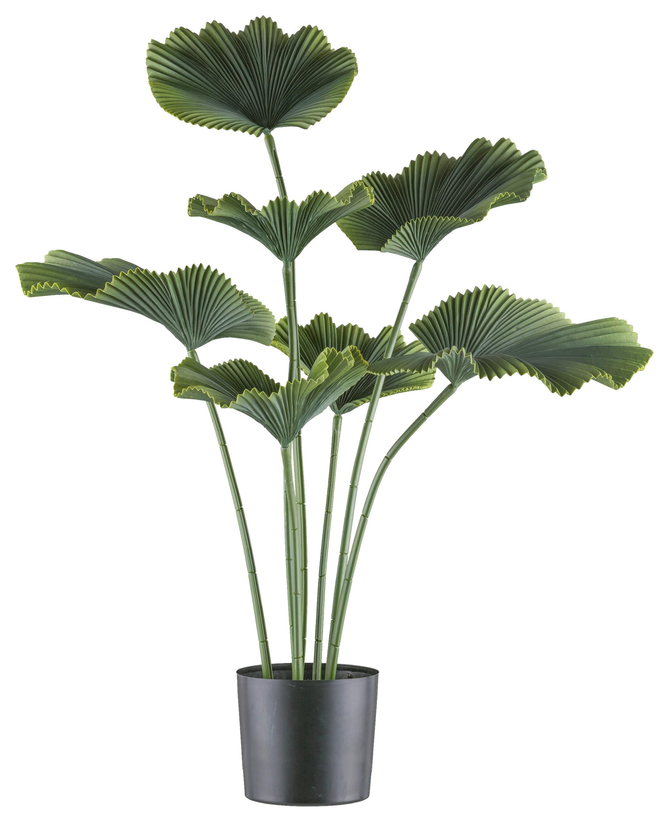 Kunstpflanze Palmen Grün/Schwarz, 100 cm - Schwarz/Grün, Design, Kunststoff (100cm)