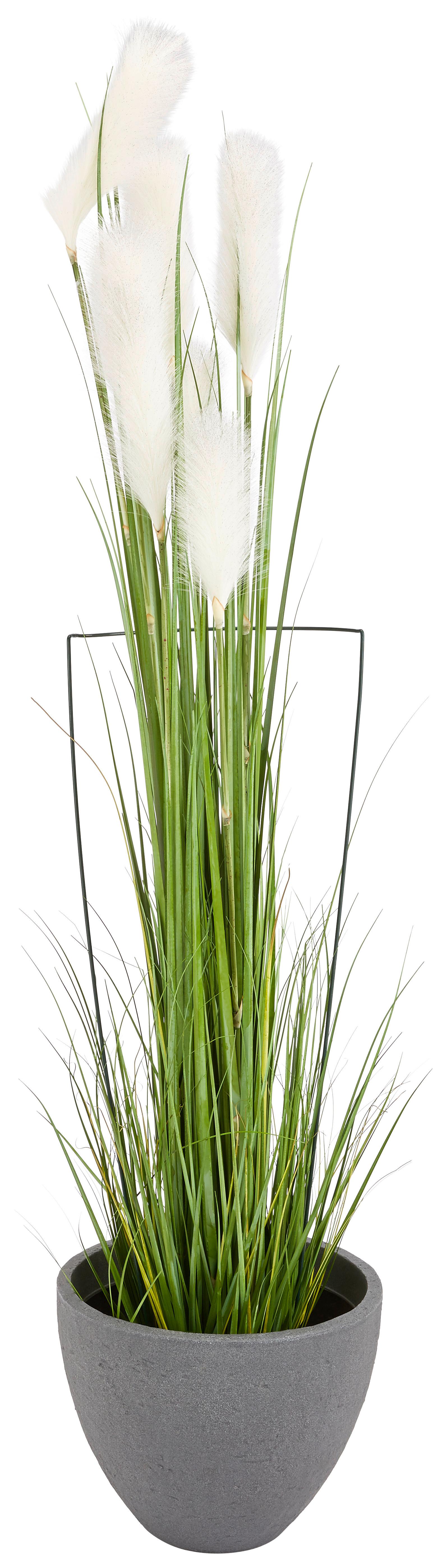 Pflanzstab Erea Metall 100 cm Kunststoffummantelt Grün - Grün, Basics, Kunststoff/Metall (100cm) - Homezone