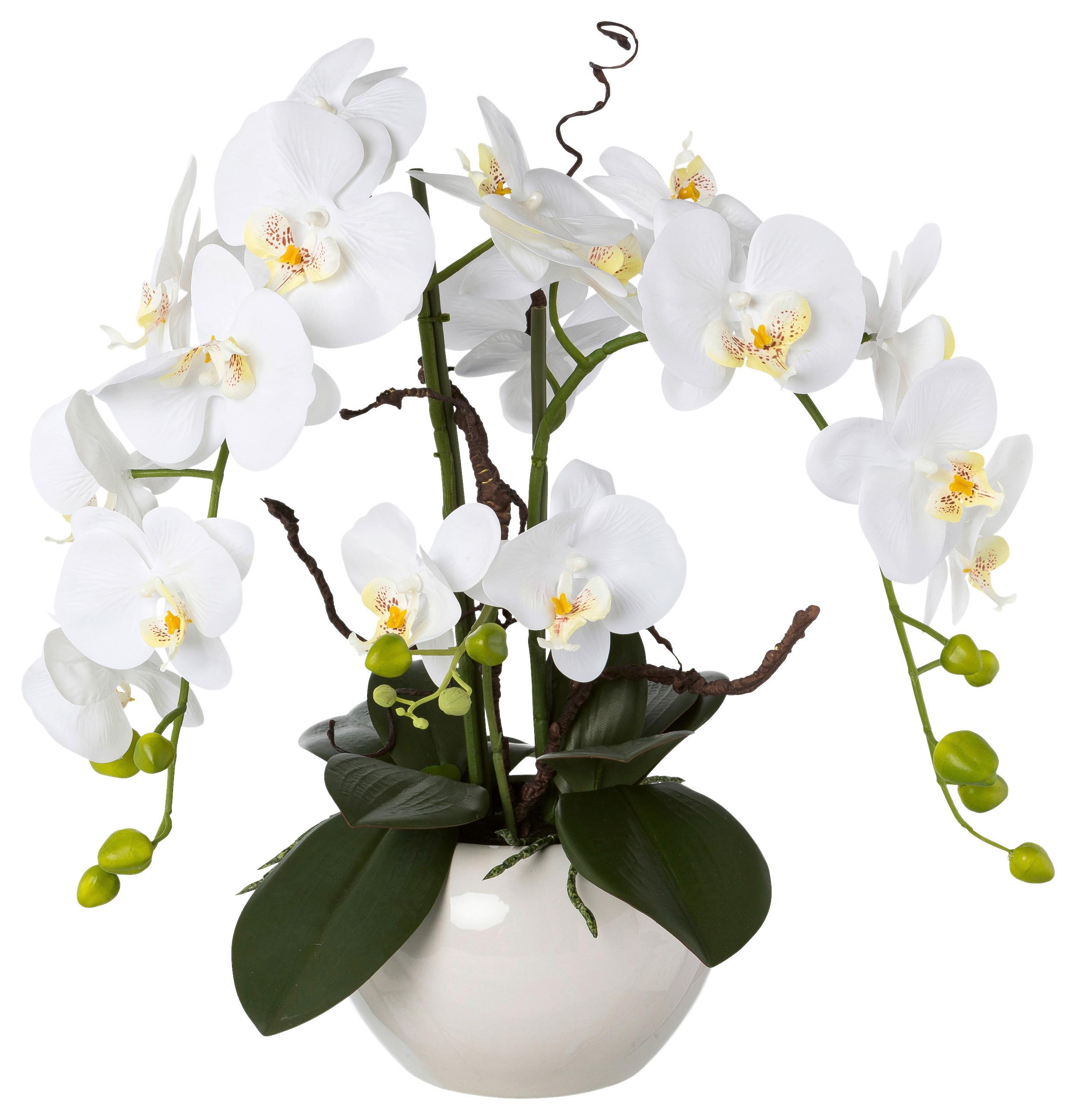 Kunstpflanze Orchideen Weiß, Topf: Weiß, H: 55 cm - Weiß/Grün, Design, Keramik/Kunststoff (55cm) - P & B