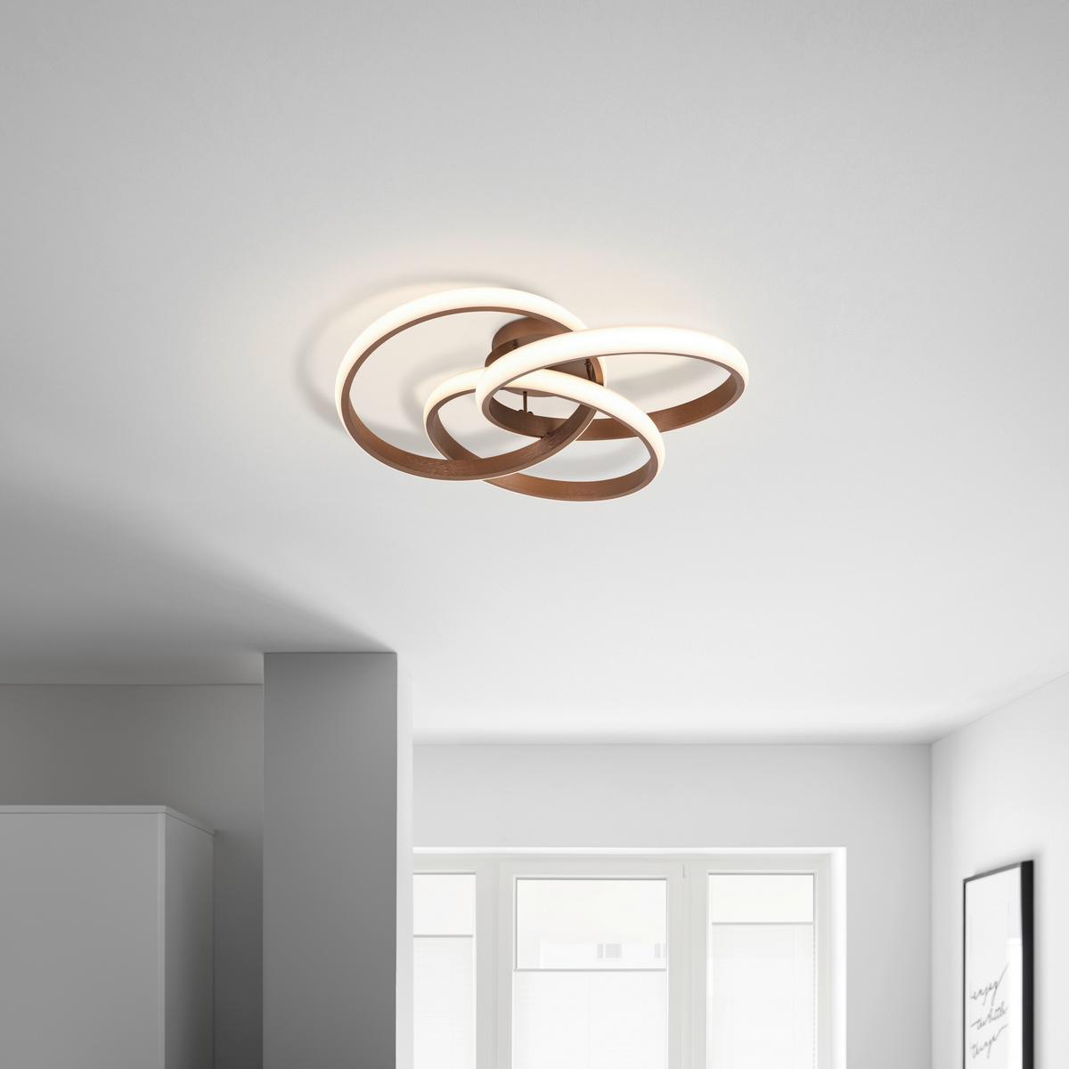 LED stropné svietidlo Antor, Ø: ca. 55cm - cappuccino, Modern, kov/plast (52/15/49,5cm) - Premium Living
