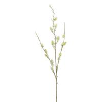 Umělá r0stlina Bodlák, V: 97cm - bílá, Natur, plast (97cm) - Modern Living