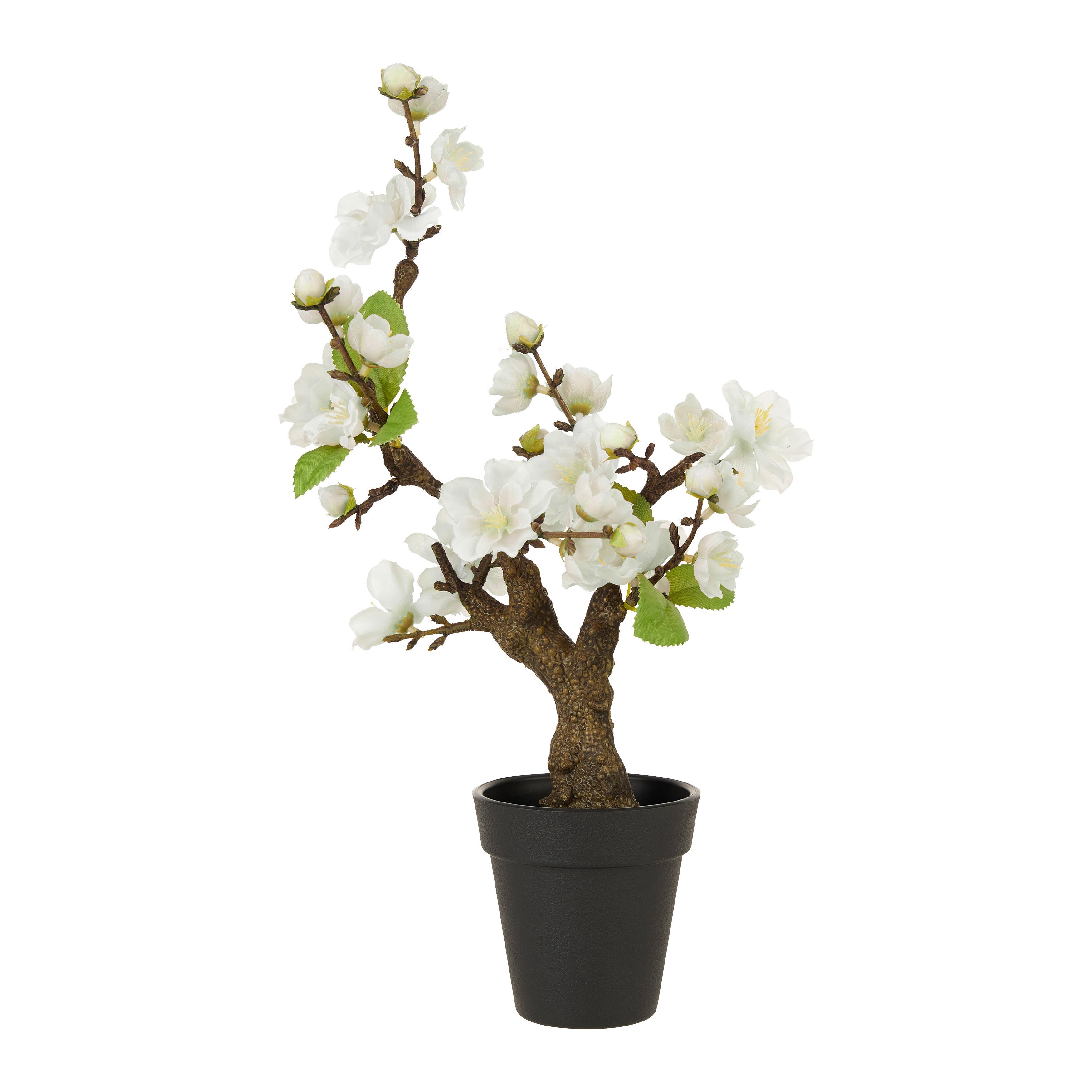 Umělá rostlina Čerešňa-Bonsai, V: 32cm - bílá/černá, Basics, plast (32cm) - Modern Living