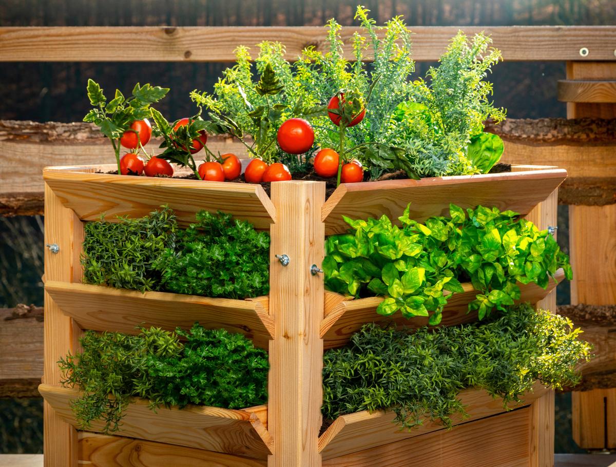 Hochbeet Echtholz Lärche 90x73x65 cm Lärchefarben - Lärchefarben, Basics, Holz (90/73/65cm)