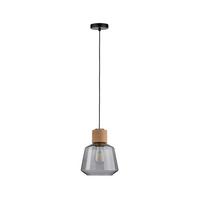 Hängeleuchte Neordic Edla H: 110 Cm 1-Flammig, Dimmbar - Schwarz, KONVENTIONELL, Glas/Metall (20,8/110cm) - Paulmann