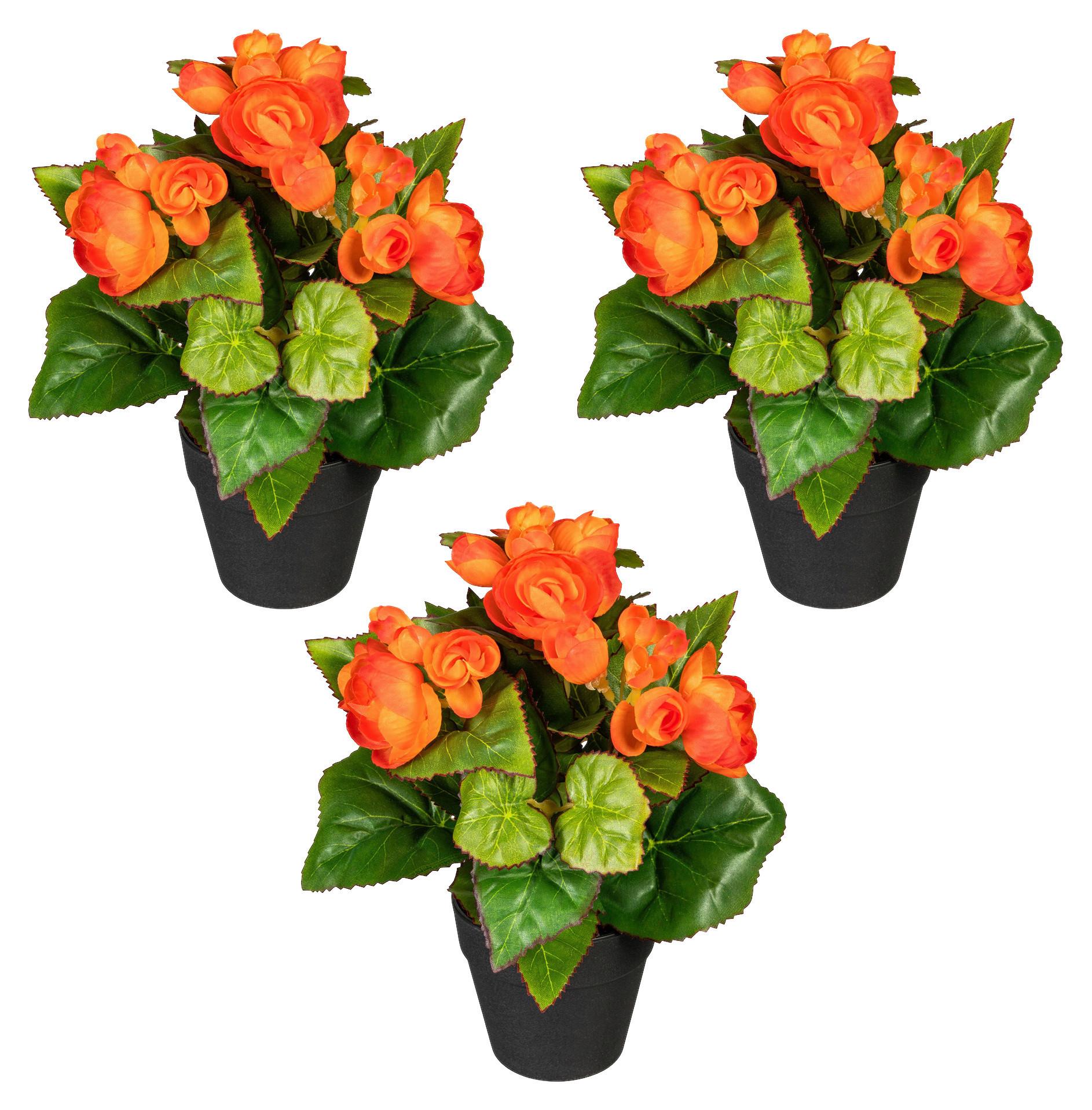 Kunstpflanze Begonien inkl. Topf D: 8 cm - Schwarz/Orange, Design, Kunststoff (24cm)