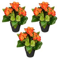 Kunstpflanze Begonien inkl. Topf D: 8 cm - Schwarz/Orange, Design, Kunststoff (24cm)