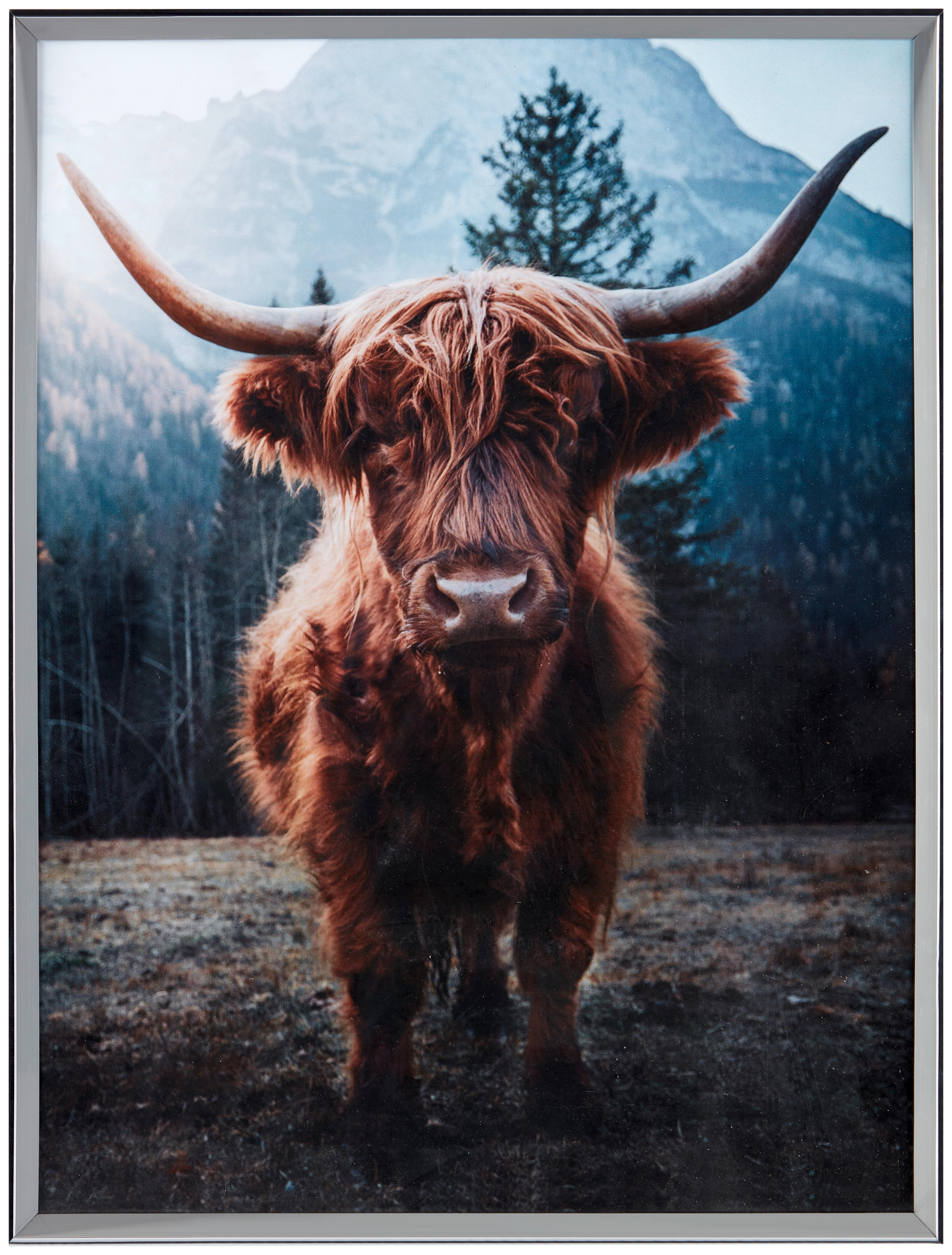Bilderrahmen 30x40 cm Cameo Kunststoff Grau. 30,7x40,7 cm - Hellgrau, Basics, Glas/Holz (30,7/40,7/1,8cm) - Luca Bessoni