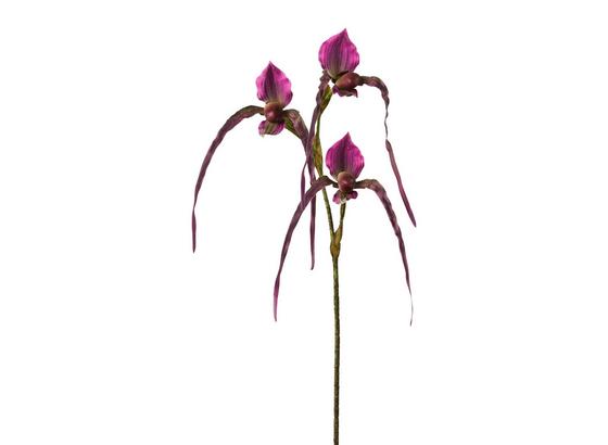 Orchidej 3019255mm-00 - zelená/fialová, Basics, umělá hmota (104cm) Orchidej 3019255mm-00 - zelená/fialová, Basics, umělá hmota (104cm)