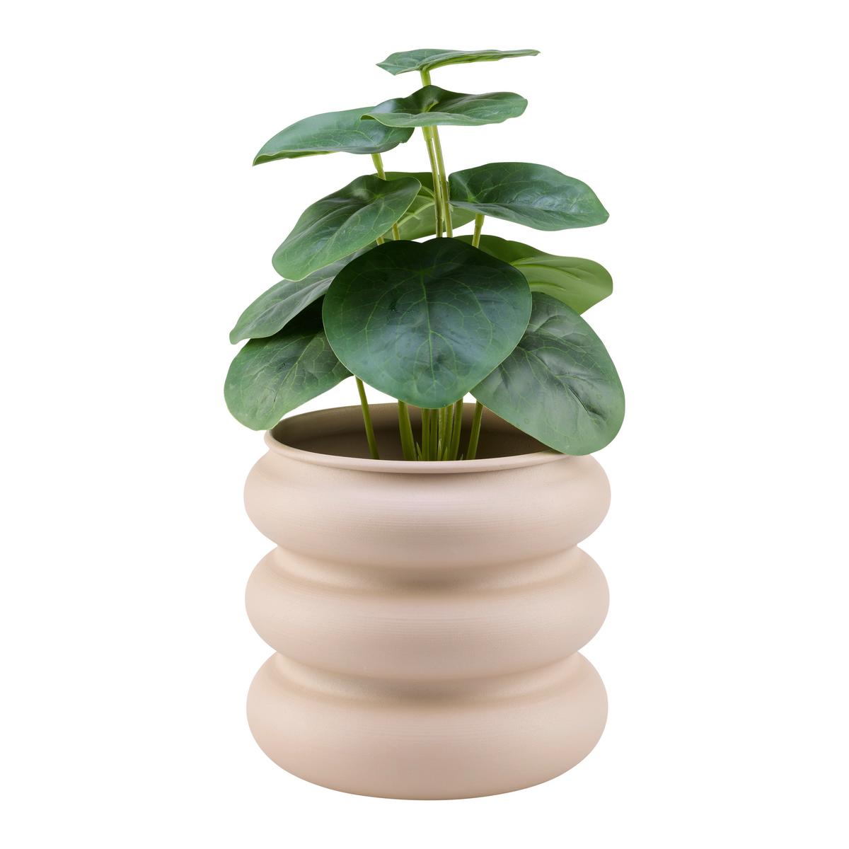 Obal na květináč CARLO - béžová, kov (14,5/14,8/16cm) - Mömax