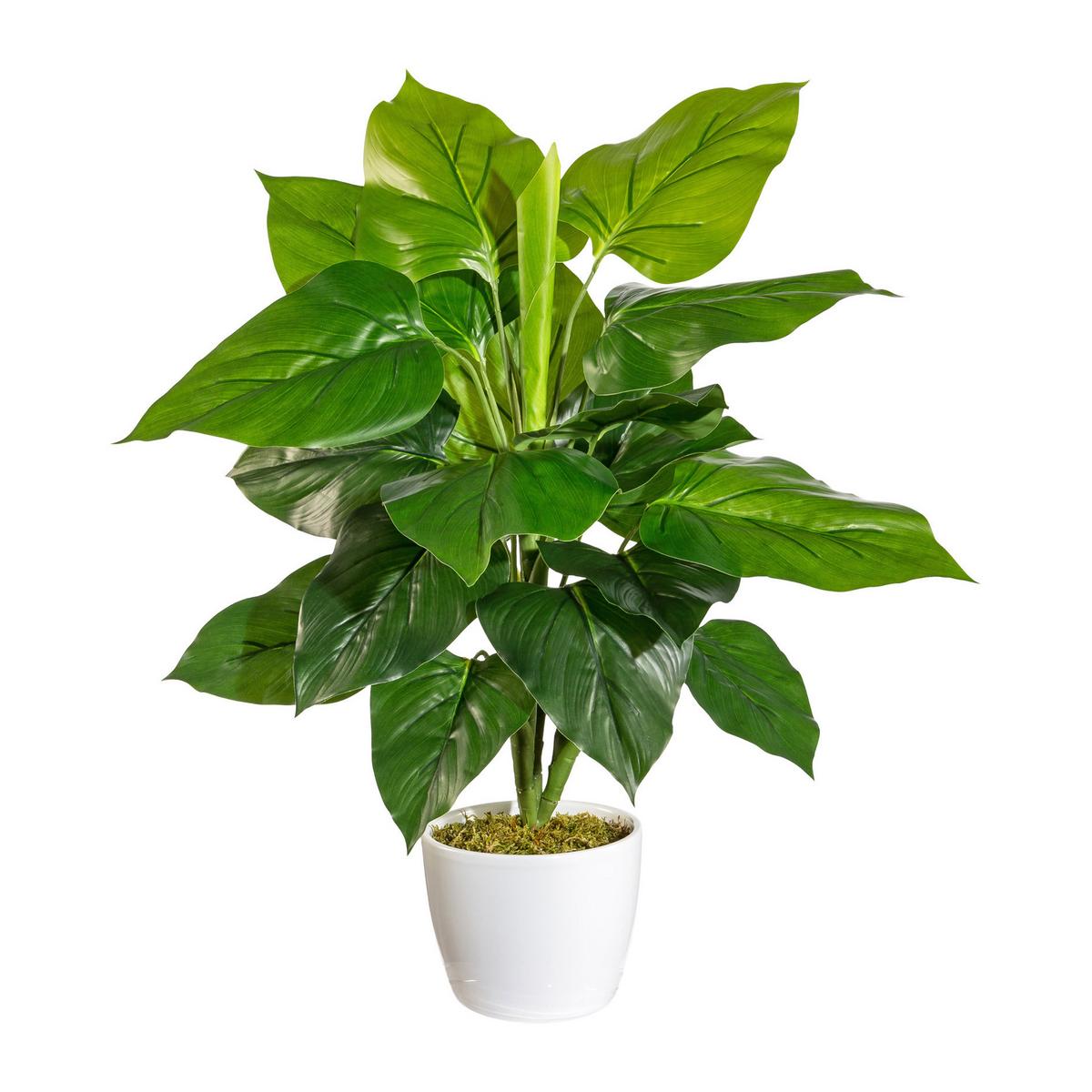 Kunstpflanze Philodendron H: 50 cm - Weiß/Grün, Design, Keramik/Kunststoff (50cm) - P & B