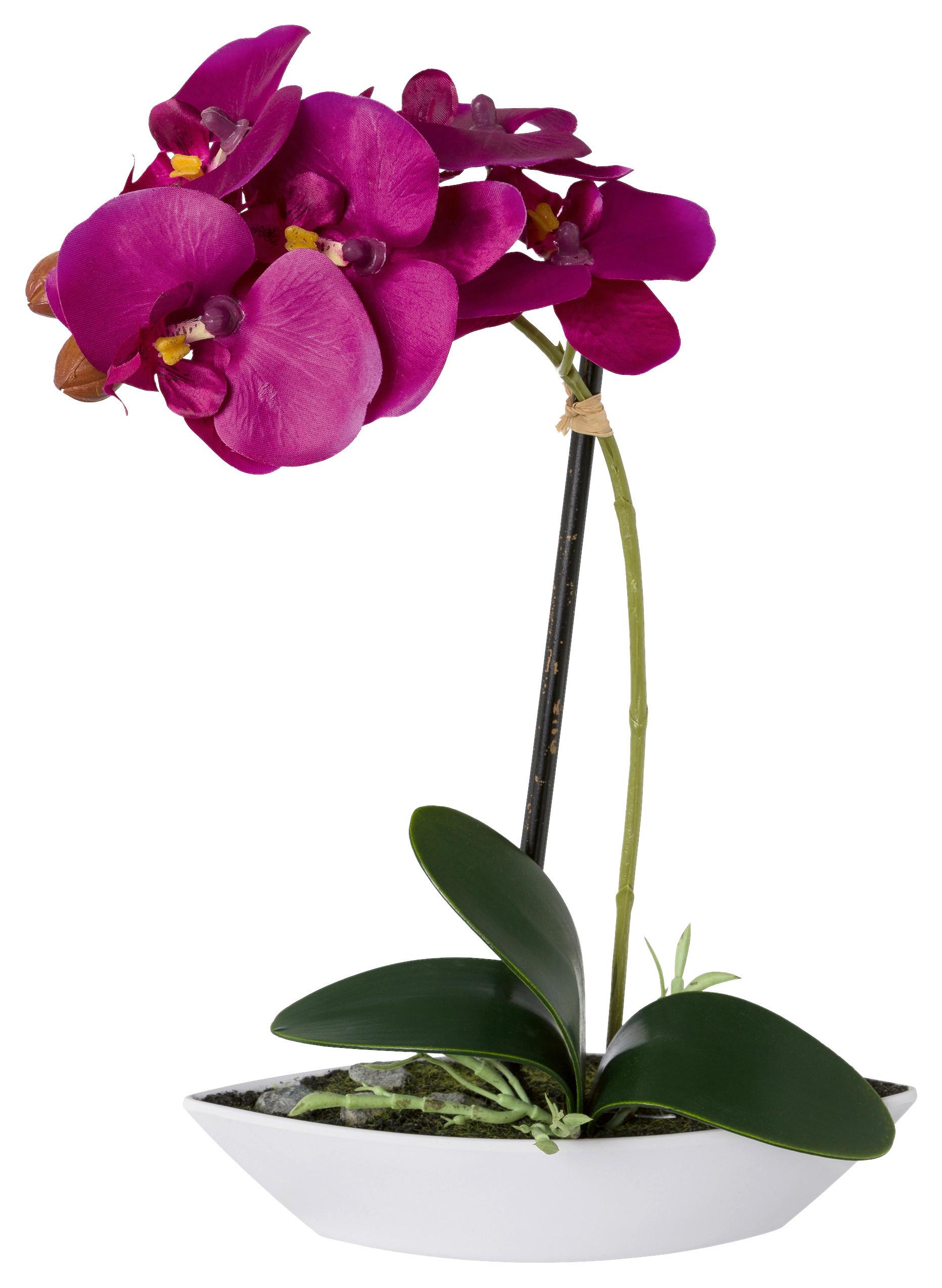 Kunstpflanze Orchideen Lila, Topf: Weiß, H: 30 cm - Lila/Weiß, Design, Keramik/Kunststoff (30cm) - P & B