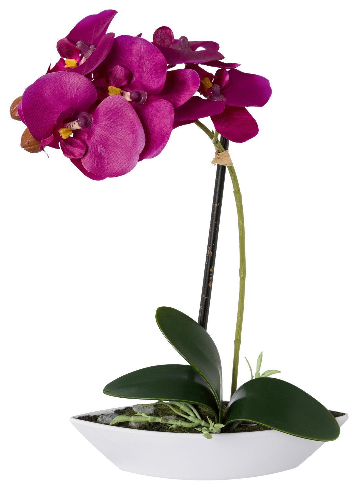 Kunstpflanze Orchideen Lila, Topf: Weiß, H: 30 cm - Lila/Weiß, Design, Keramik/Kunststoff (30cm) - P & B