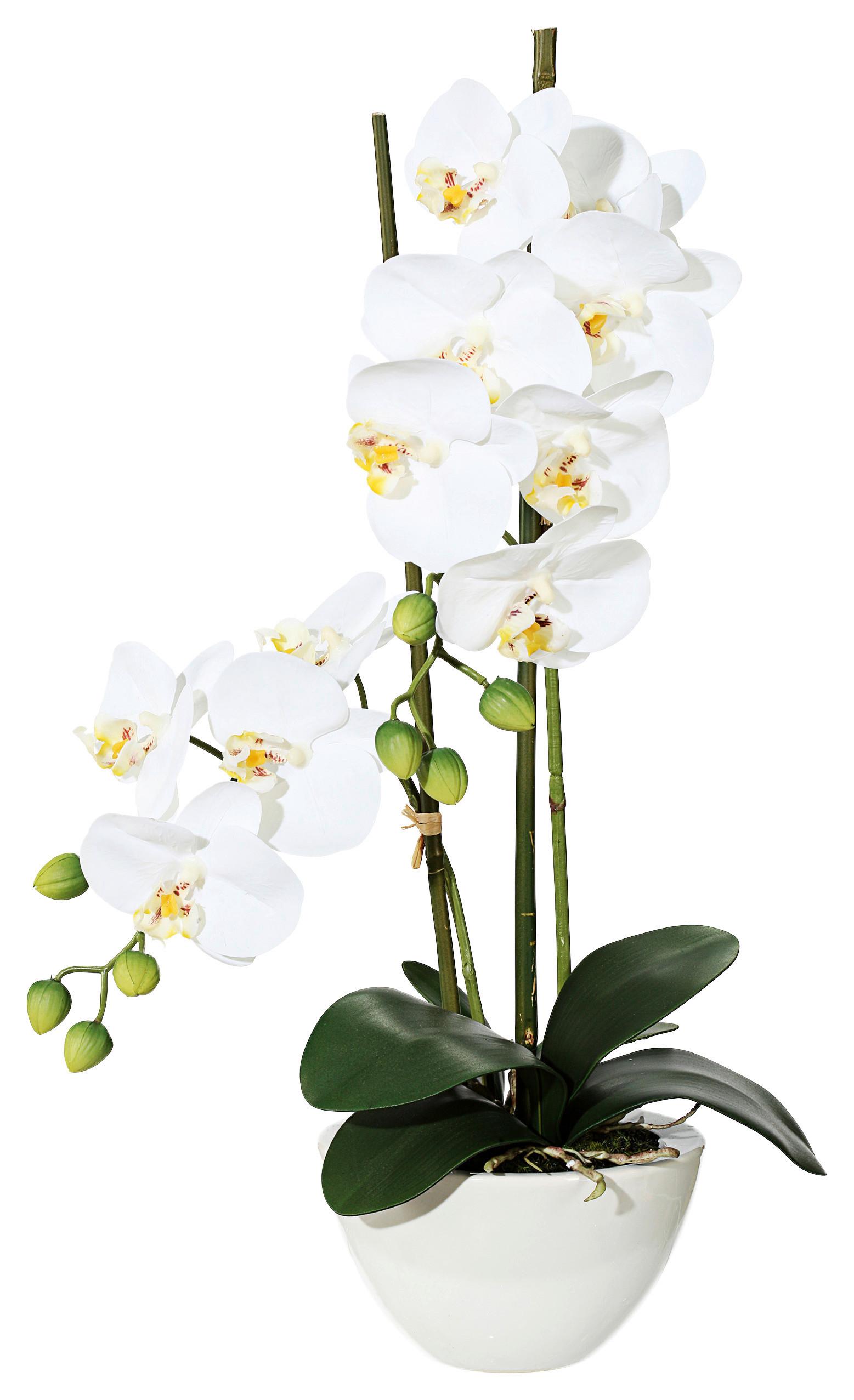 Kunstpflanze Orchideen Weiß, Topf: Weiß, H: 50 cm - Weiß/Grün, Design, Keramik/Kunststoff (50cm)