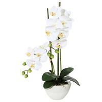 Kunstpflanze Orchideen Weiß, Topf: Weiß, H: 50 cm - Weiß/Grün, Design, Keramik/Kunststoff (50cm)