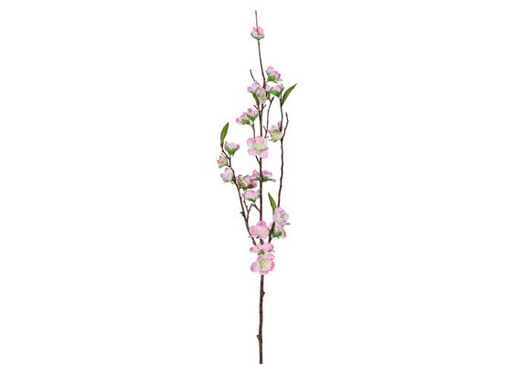 Kirschblütenzweig Cherry Rosa - Rosa/Braun, Basics, Kunststoff/Textil (95cm) Kirschblütenzweig Cherry Rosa - Rosa/Braun, Basics, Kunststoff/Textil (95cm)