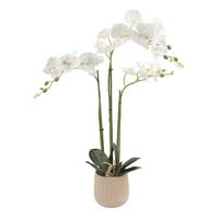 Orchidee Olivia - Gelb/Erlefarben, KONVENTIONELL, Keramik/Papier (12/62cm) - Luca Bessoni