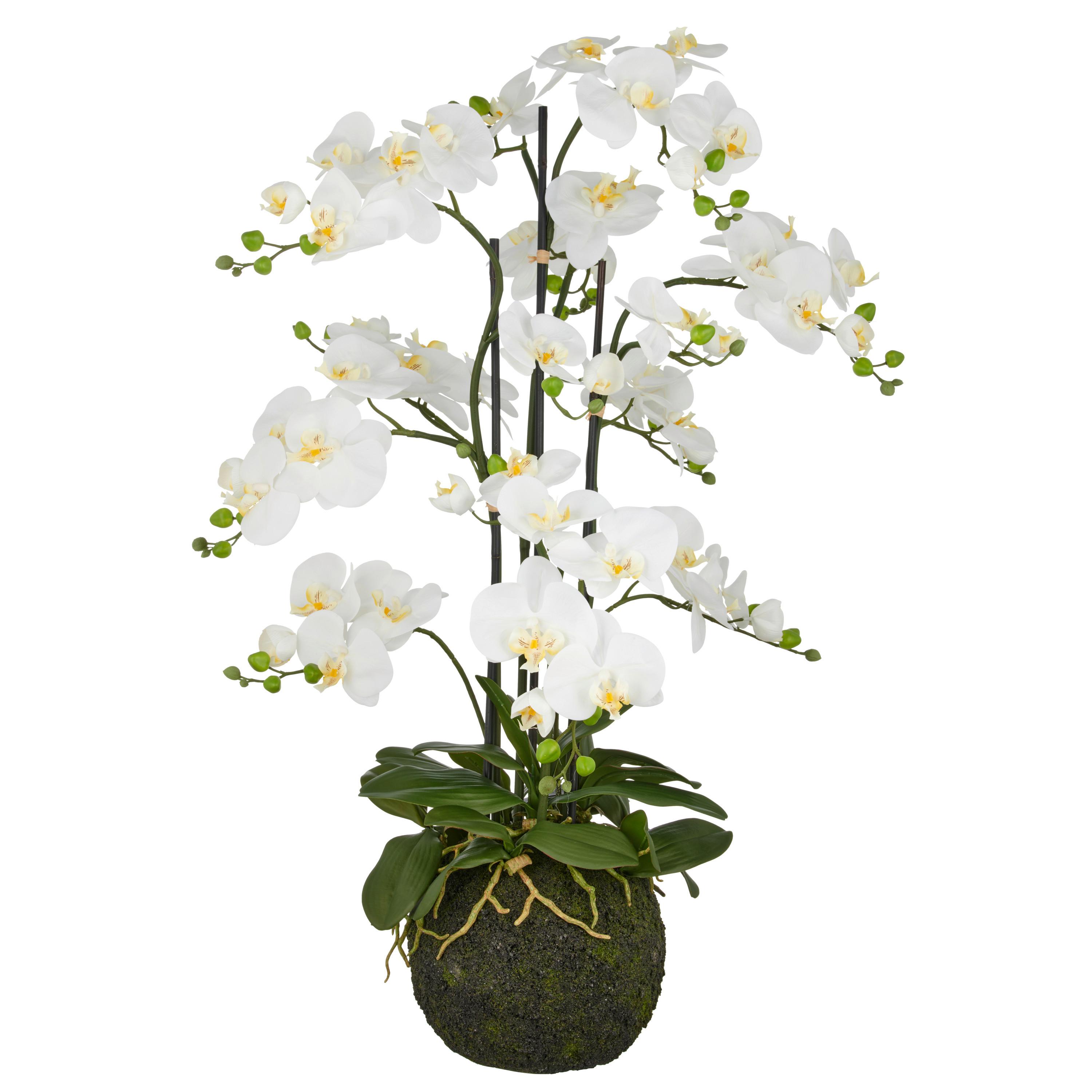Kunstpflanze Weiß Grün B: 25 cm - Weiß/Grün, Basics, Kunststoff (25/120/25cm) - P & B