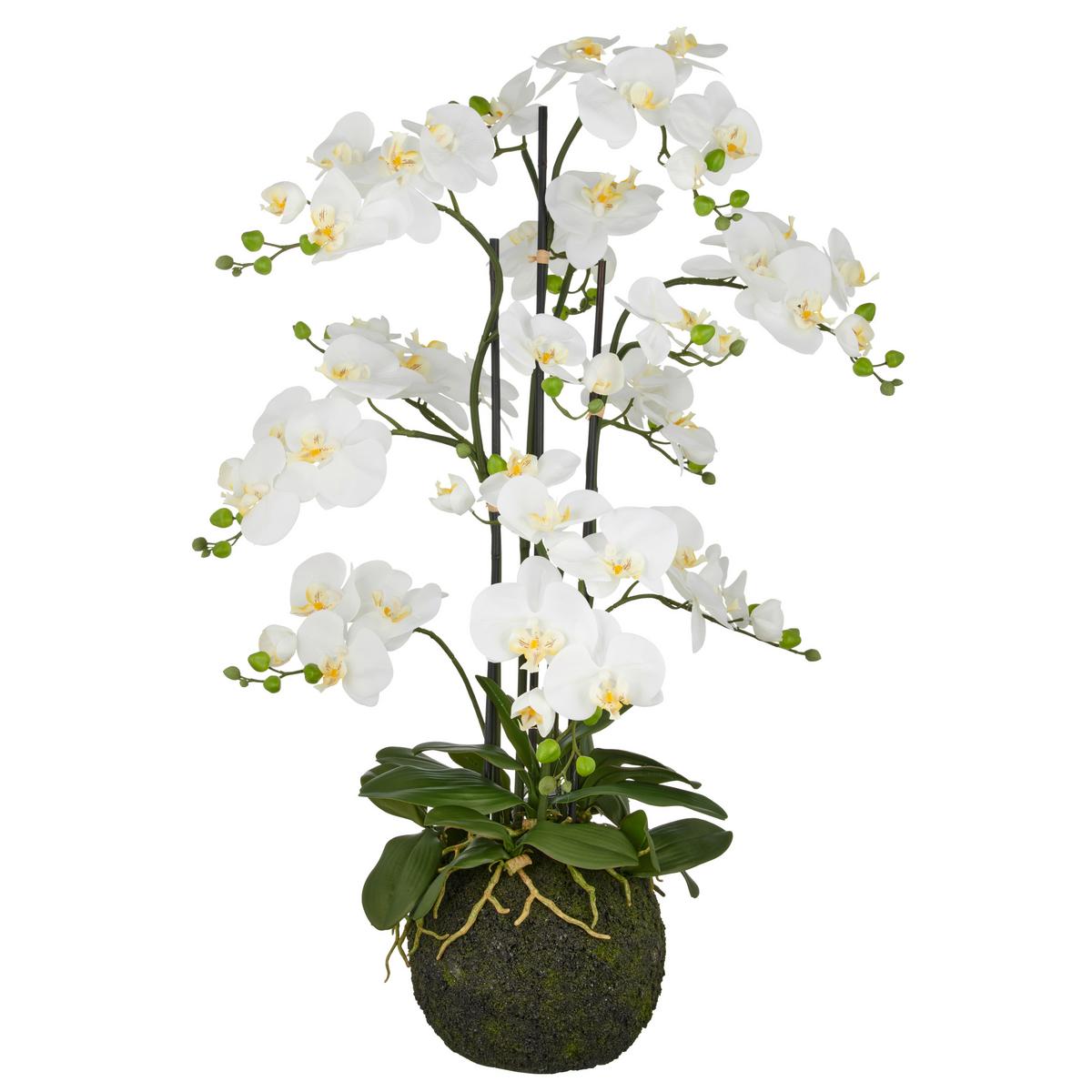 Kunstpflanze Weiß Grün B: 25 cm - Weiß/Grün, Basics, Kunststoff (25/120/25cm) - P & B