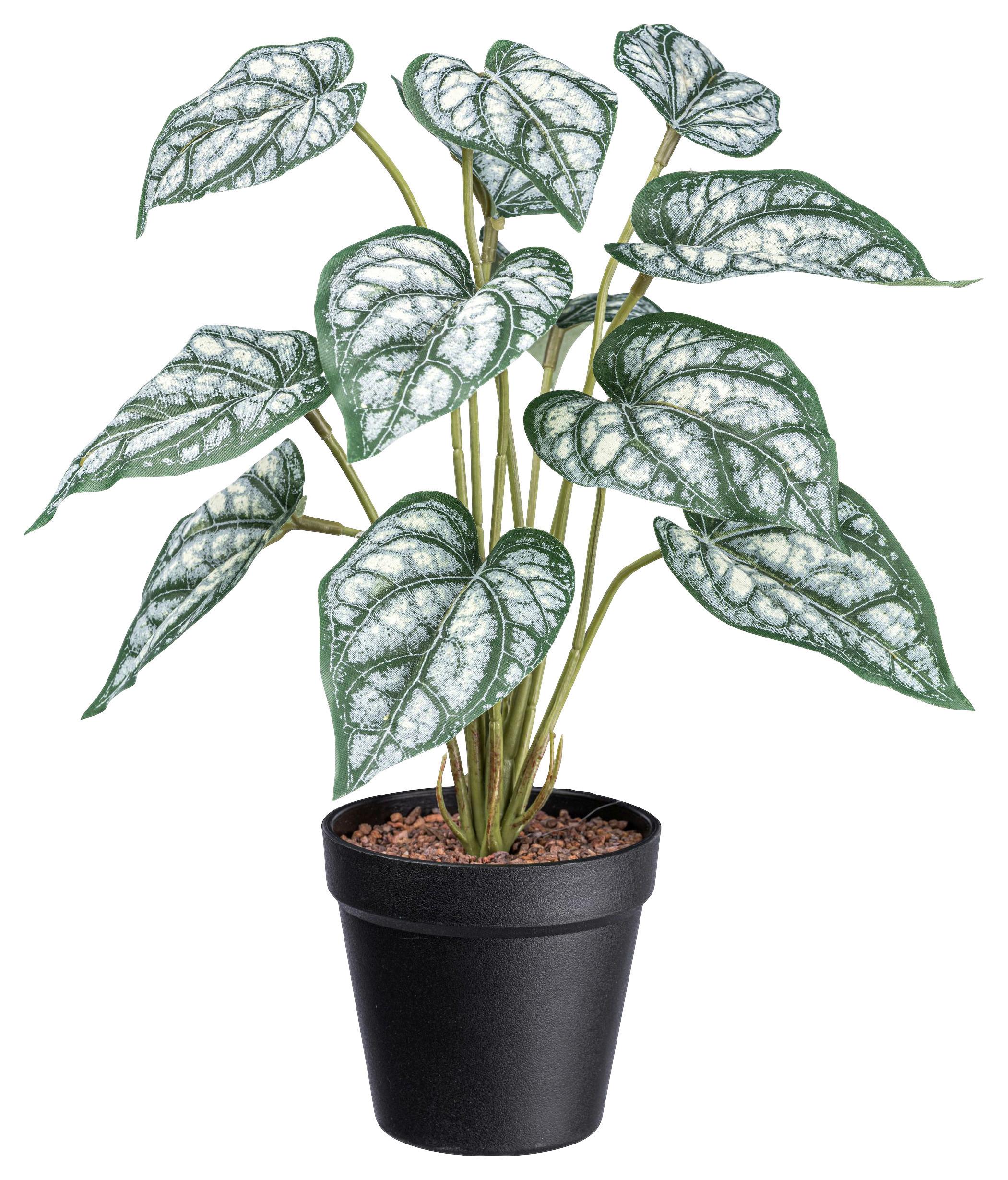 Umelá rastlina V: 38cm - čierna/zelená, Basics, plast (38cm) - Modern Living