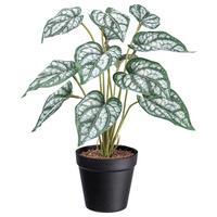 Umelá rastlina V: 38cm - čierna/zelená, Basics, plast (38cm) - Modern Living
