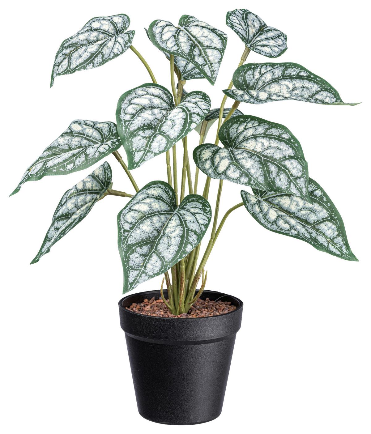 Umelá rastlina V: 38cm - čierna/zelená, Basics, plast (38cm) - Modern Living