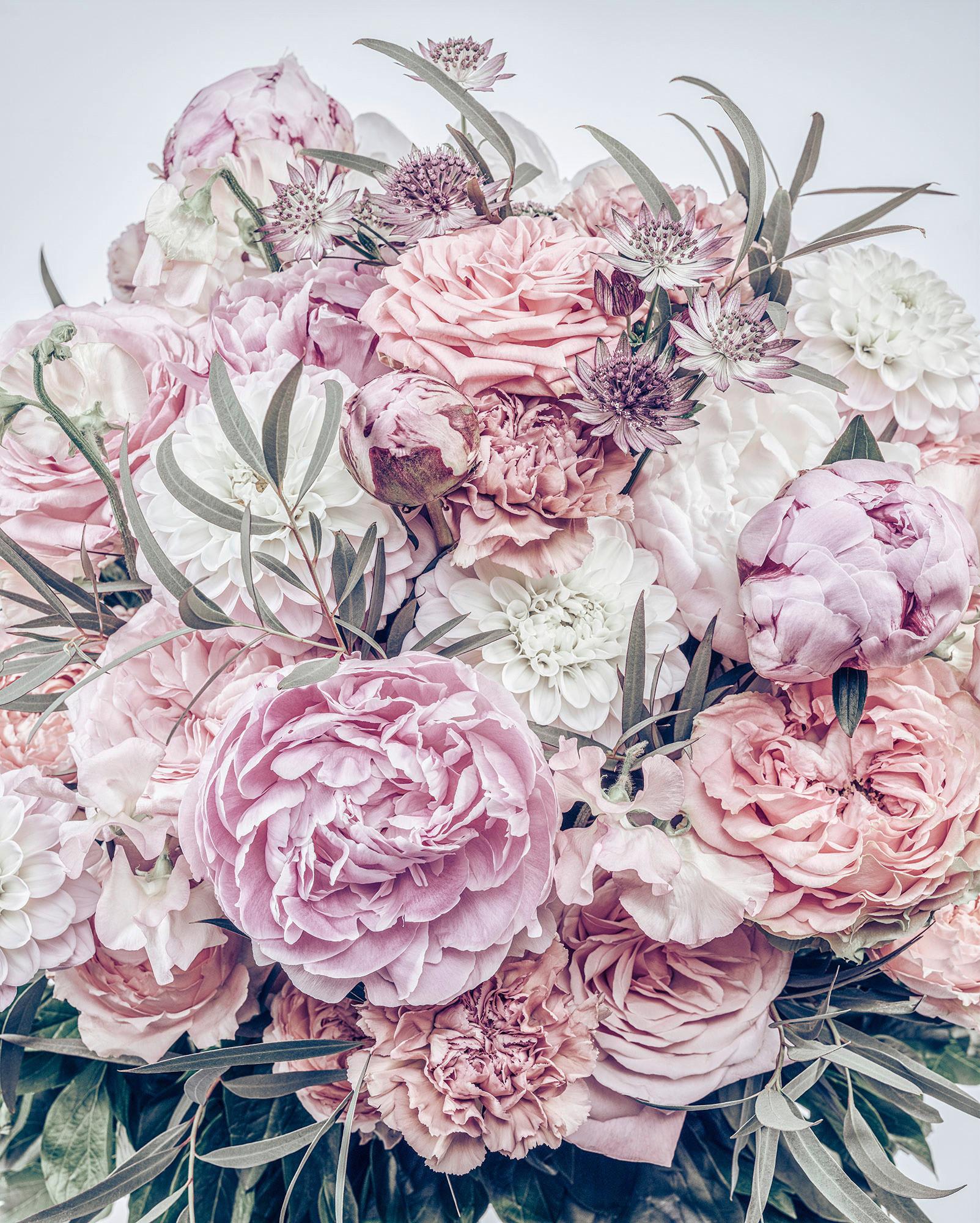 Vliestapete Zestful - Rot/Rosa, Basics (200/250cm) - Komar