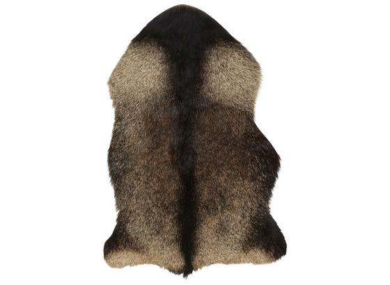 Kozia Kožušina Heidi - prírodné farby/hnedá, prírodné materiály (80/50cm) - Mömax modern living Kozia Kožušina Heidi - prírodné farby/hnedá, prírodné materiály (80/50cm) - Mömax modern living