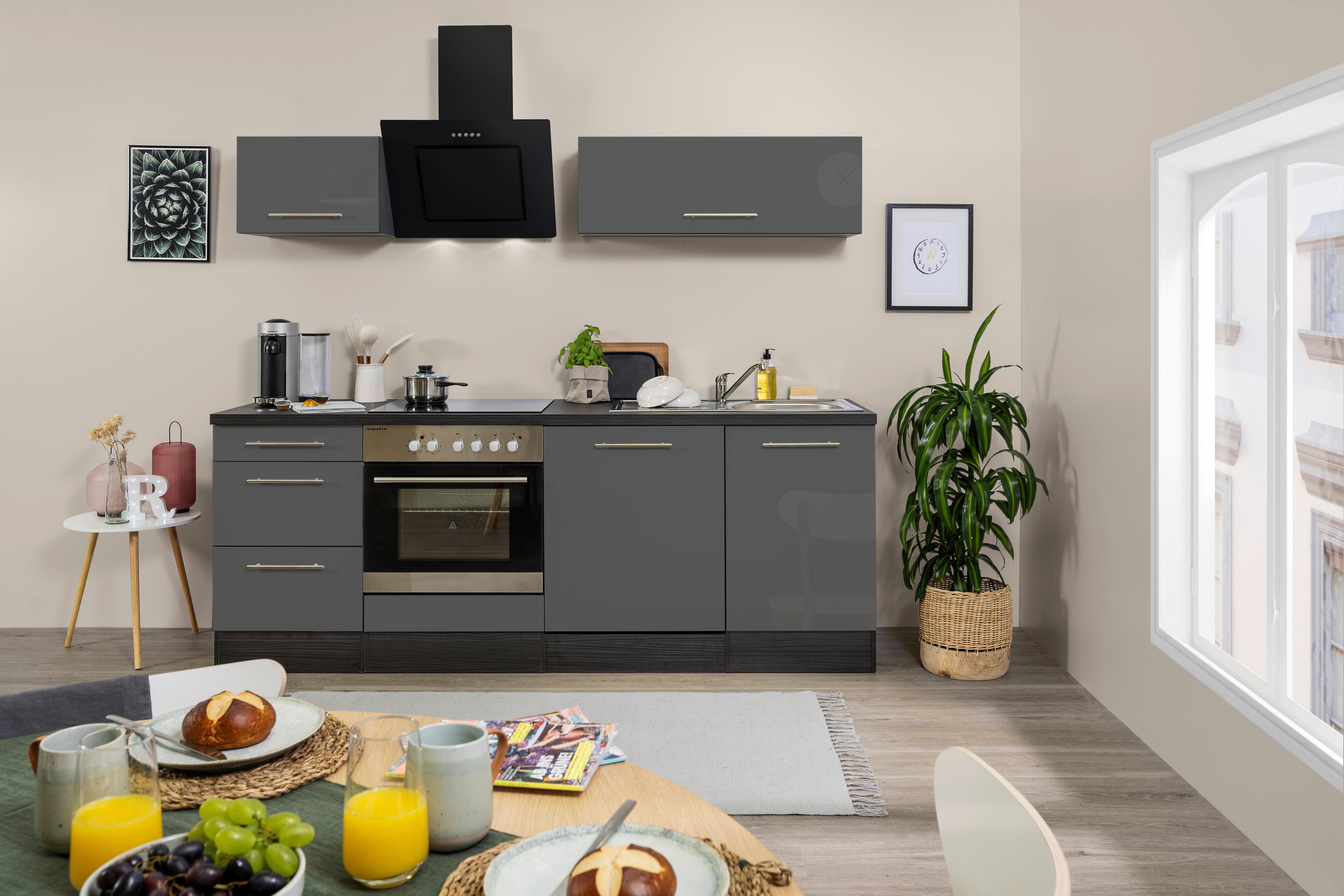 Küchenzeile RP220EGC mit Geräte 220 cm Grau - Grau, Basics, Holzwerkstoff (220cm) - Respekta