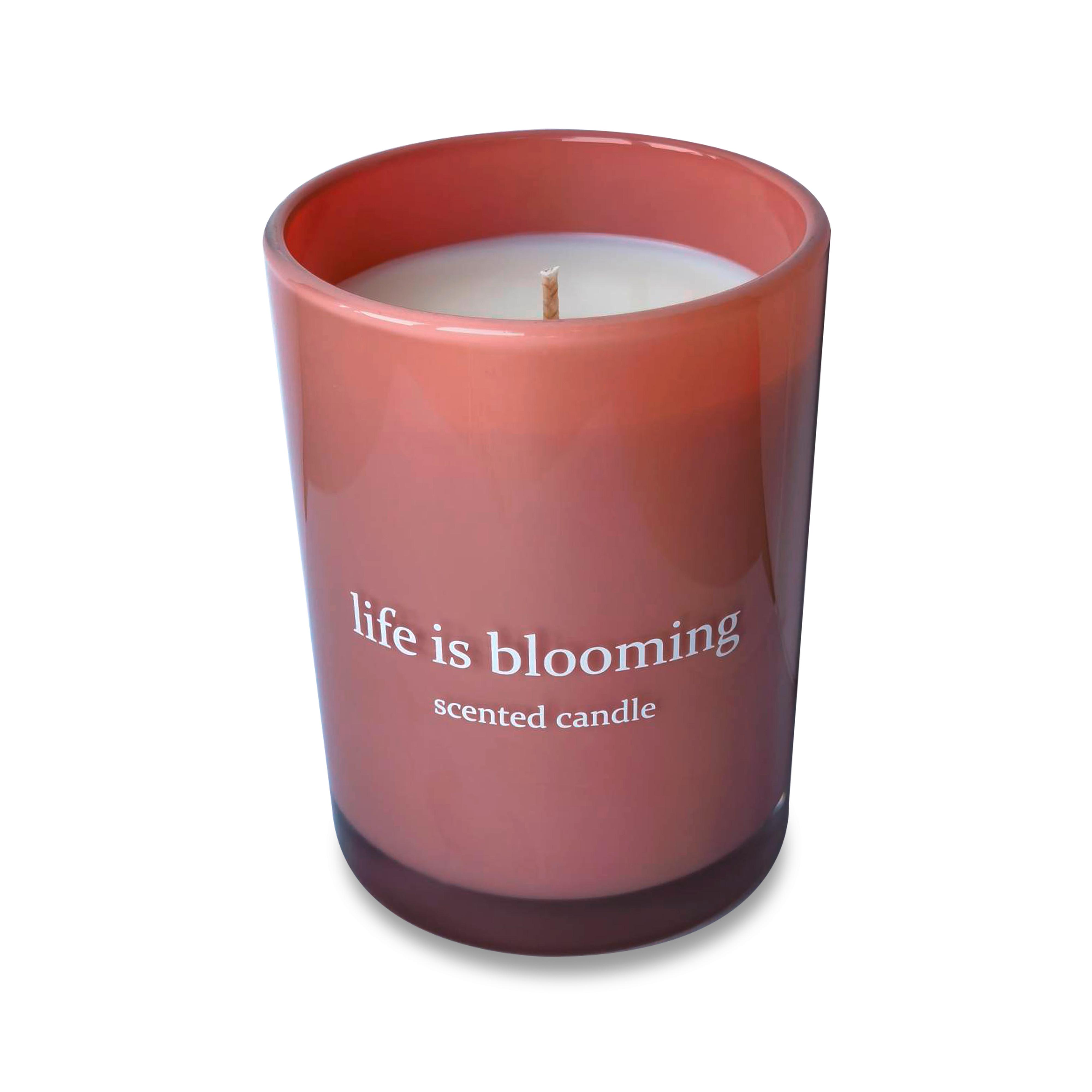 VONNÁ SVIEČKA LIBELLA - svetločervená, prírodné materiály/sklo (8/10,6cm) - Modern Living