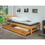 Bettschubkasten Lati B: 199 cm - Naturfarben, Basics, Holz/Kunststoff (199/22/94cm) Bettschubkasten Lati B: 199 cm - Naturfarben, Basics, Holz/Kunststoff (199/22/94cm)