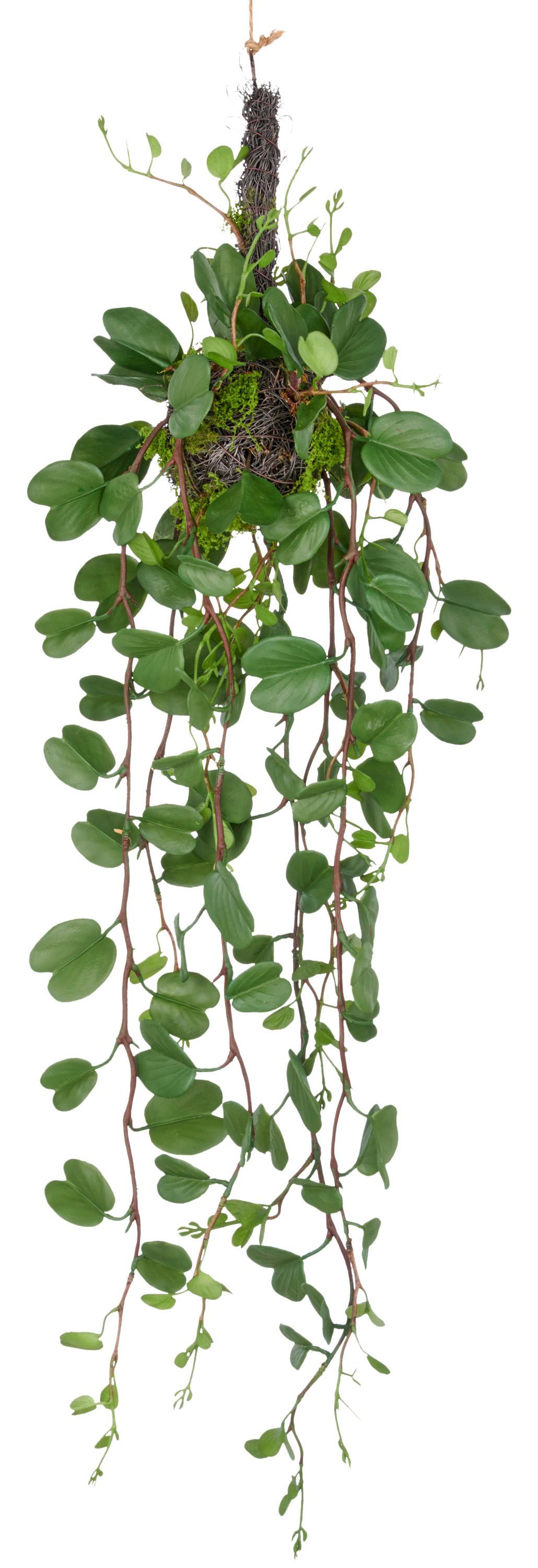 Umělá rostlina BAUHINIAHÄNGER II - zelená, Lifestyle, plast (90cm) - Mömax