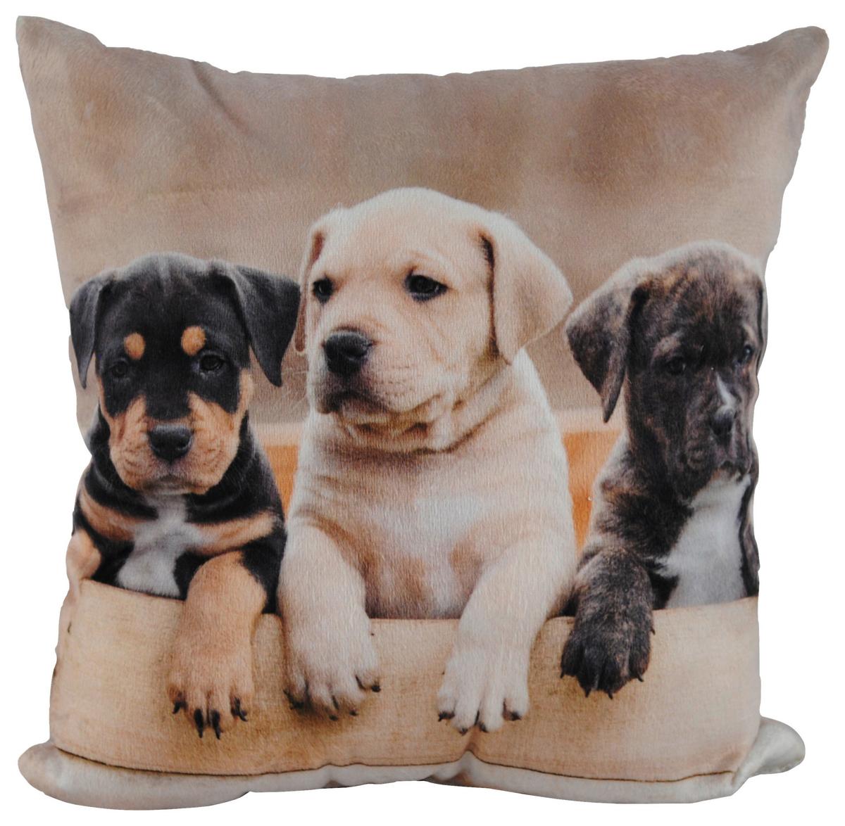 Zierkissen Xenia 25x25 Cm Samtoptik Tiermotive - Multicolor, KONVENTIONELL, Textil (25/25cm) - Ondega