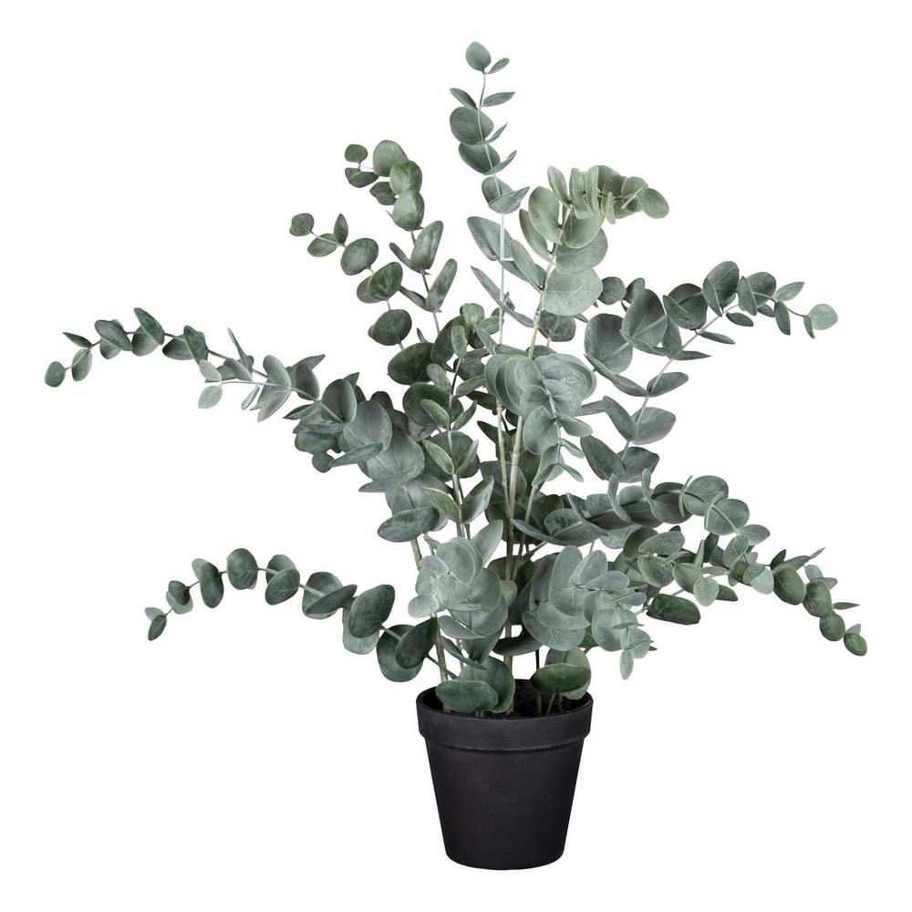 Umelá Rastlina Eucalyptus, V: 53cm
