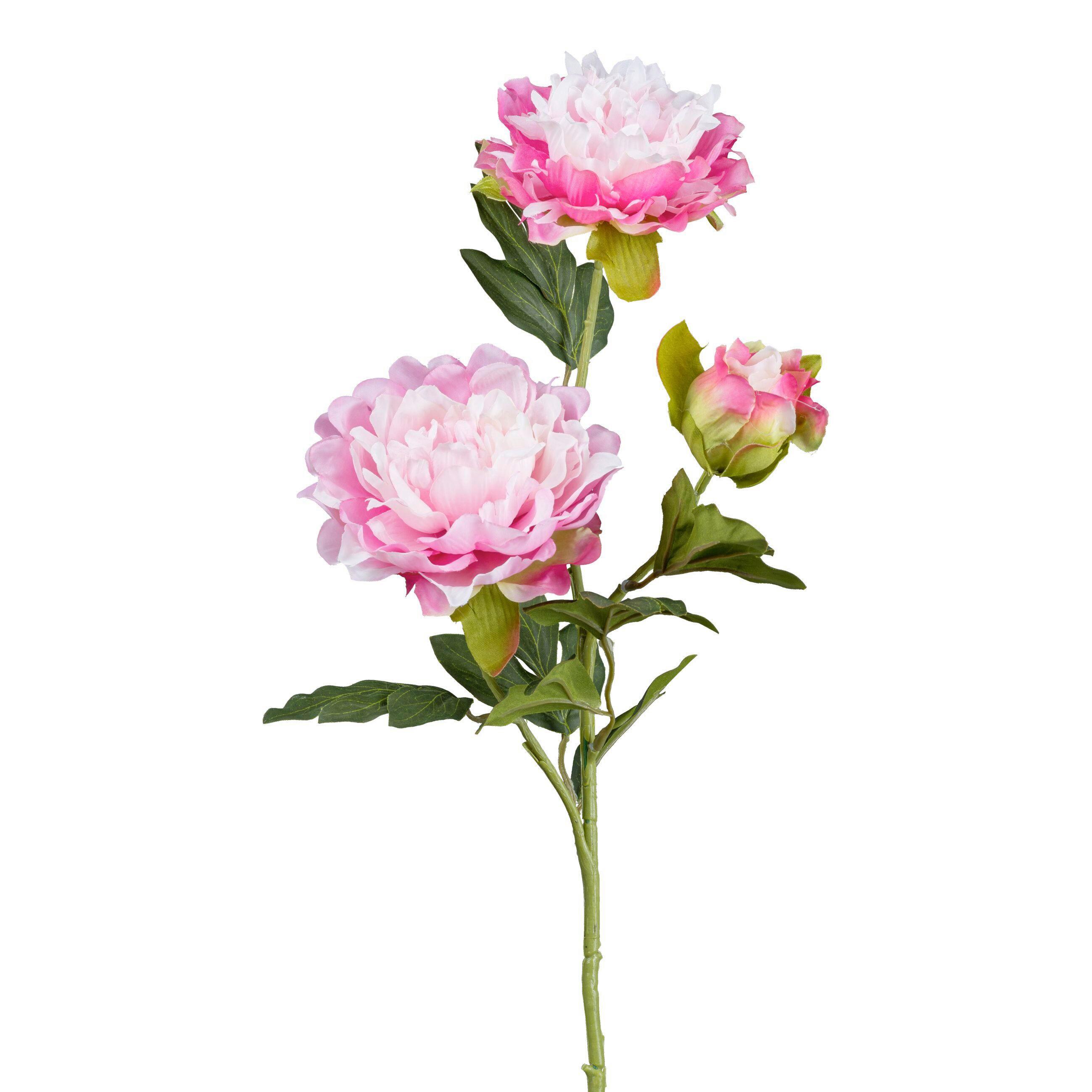 Pfingstrose Peonie - Rosa/Grün, Basics, Kunststoff/Textil (63cm)