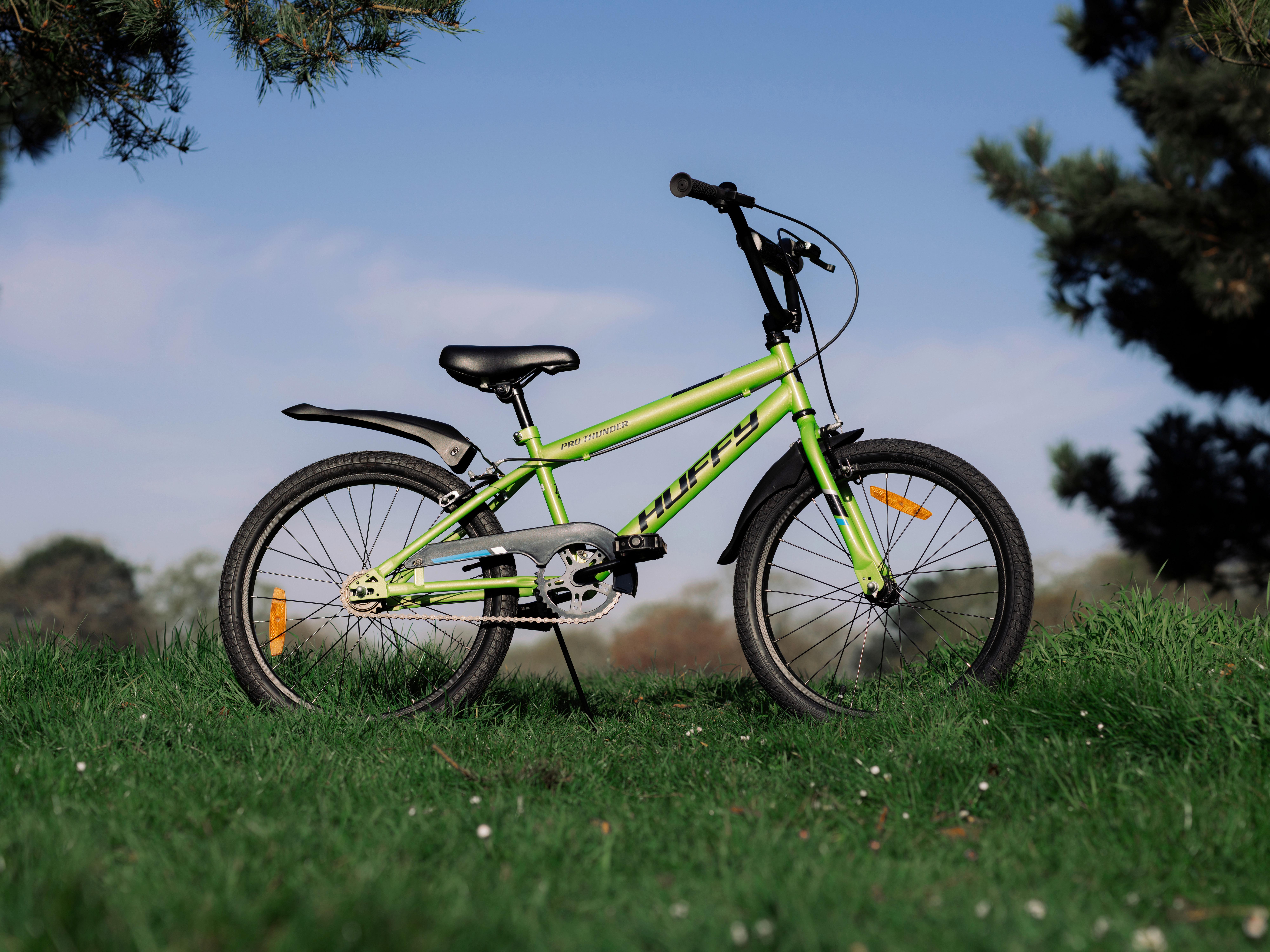 Kinderfahrrad Pro Thunder Grün, 20 Zoll - Grün, Basics, Metall (64/95/135cm)