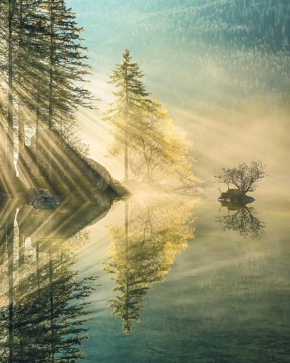 Vliestapete Grün - Natur (200/250cm)