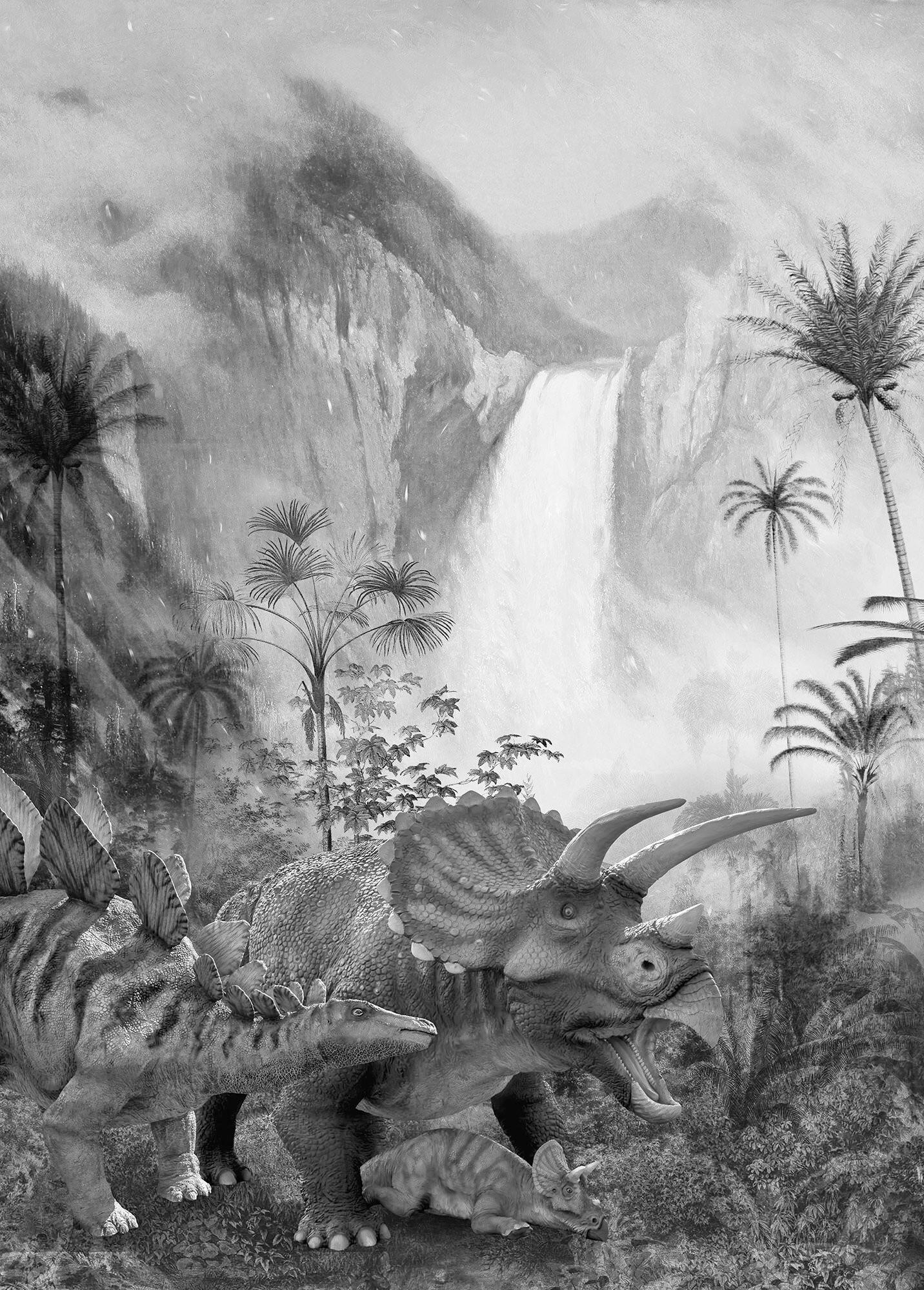 Fototapete Jurassic Waterfall - Schwarz/Weiß, Trend, Papier (200/280cm)