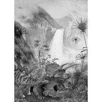 Fototapete Jurassic Waterfall - Schwarz/Weiß, Trend, Papier (200/280cm)