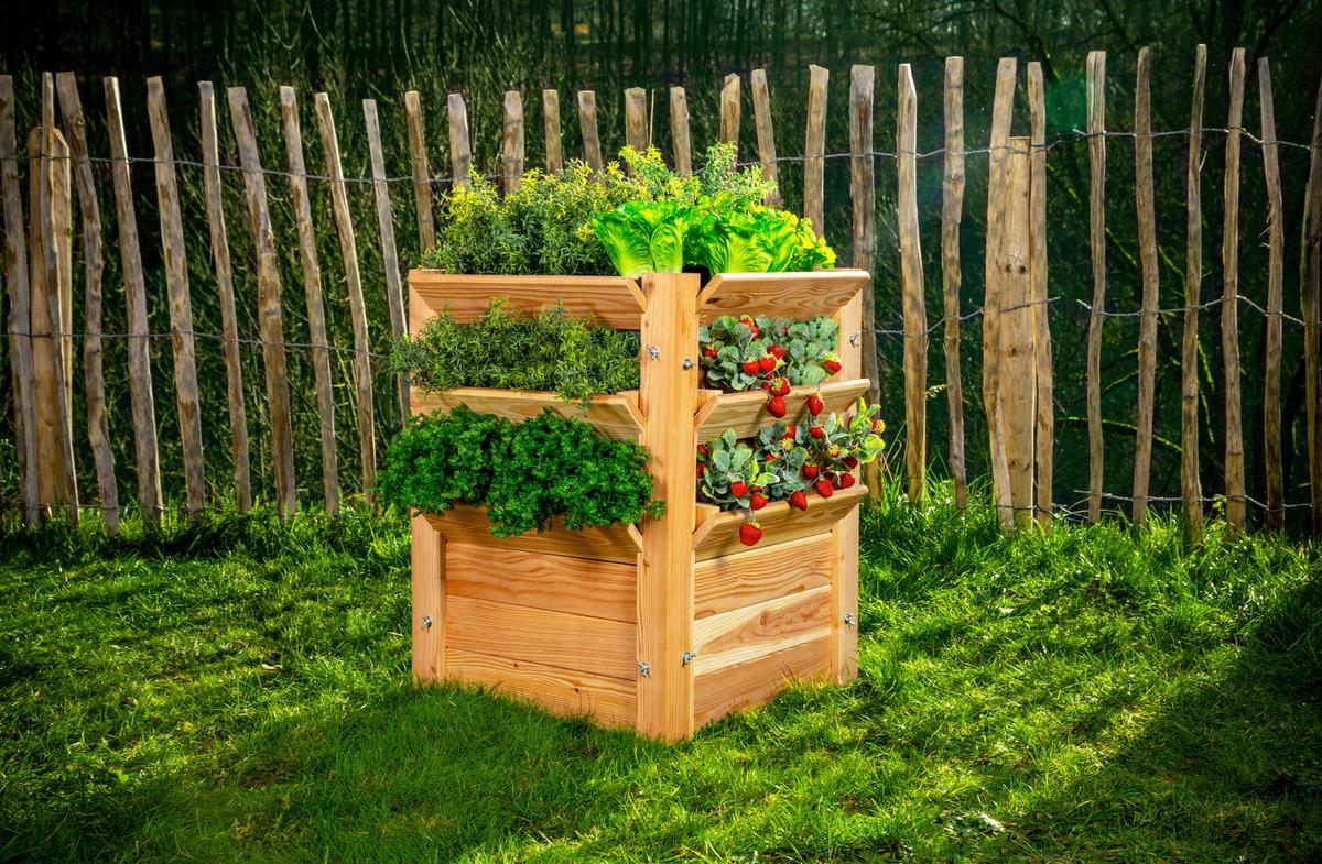 Hochbeet Echtholz Lärche 65x73x65 cm - Lärchefarben, Basics, Holz (65/73/65cm)