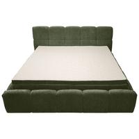 Polsterbett Noe Grün, Lf: 180x200 cm - Schwarz/Grün, Trend, Textil/Metall (180ml)