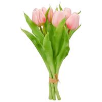 Tulipán TULPENBUND I - růžová/zelená, Basics, kov/plast (31cm) - Mömax