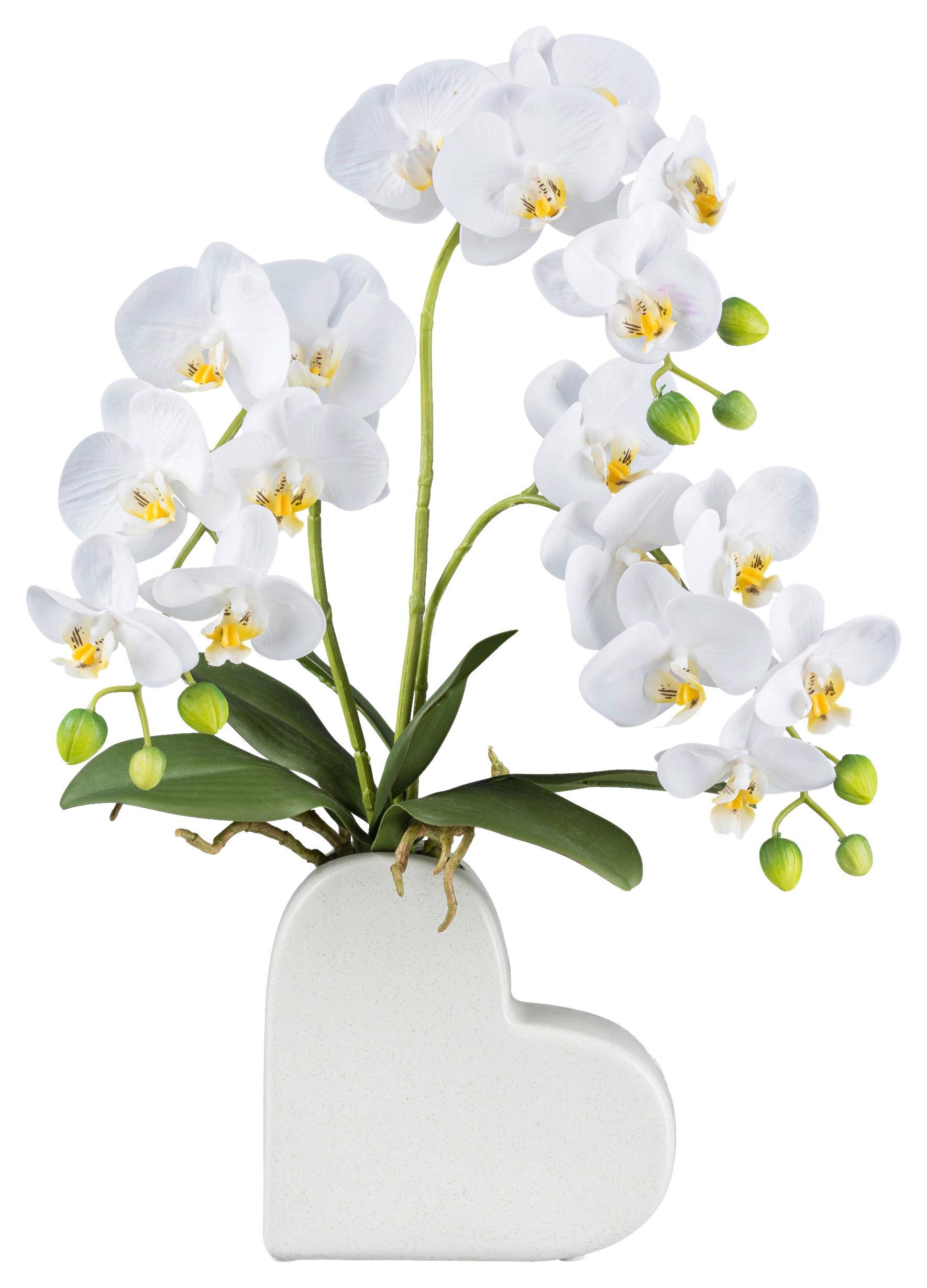 Kunstpflanze Orchidee Weiß L: 53 cm mit Topf Anouk - Braun/Weiß, KONVENTIONELL, Kunststoff (53cm)