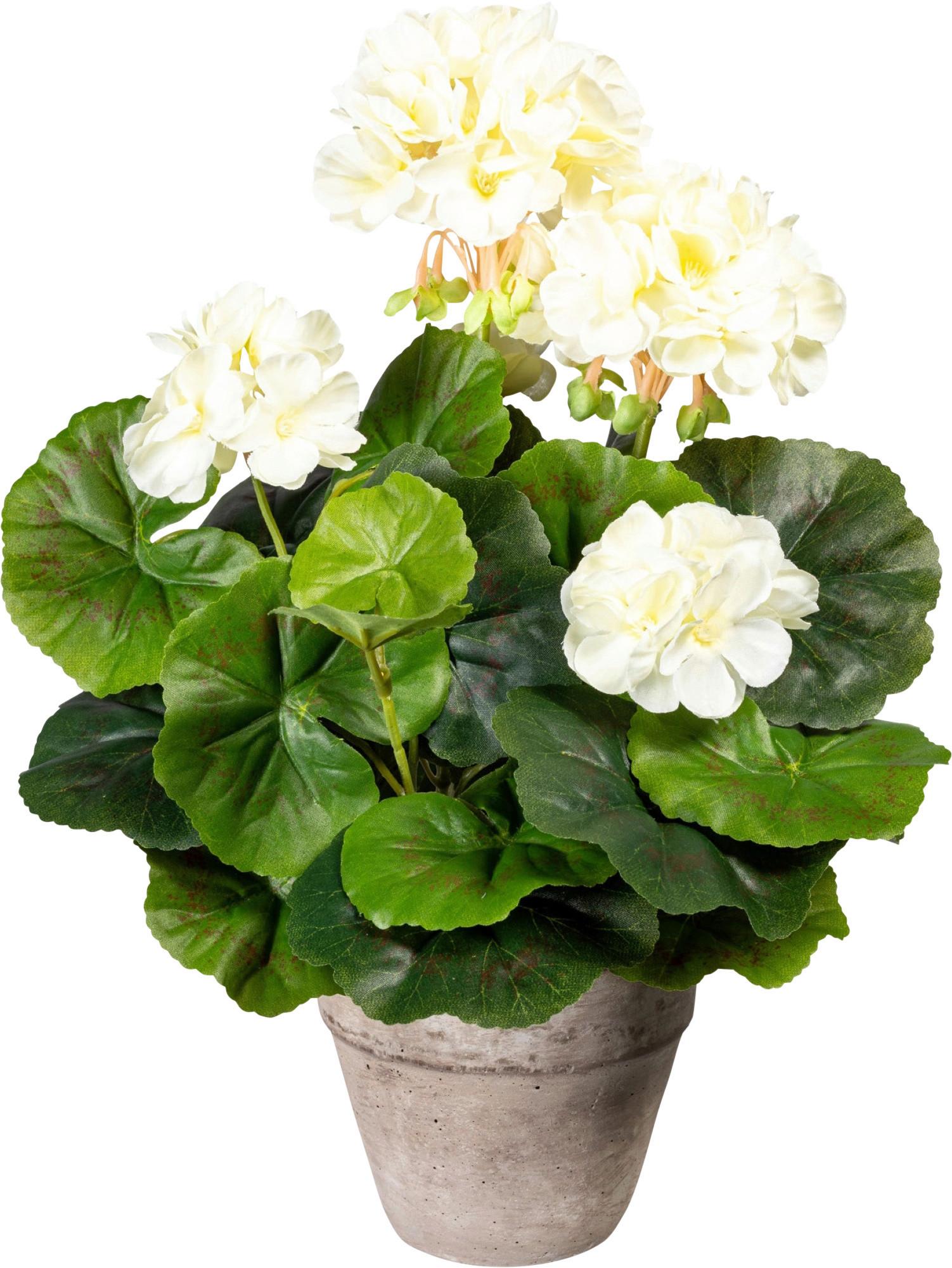 Kunstpflanze Blühpflanzen Creme/Grau/Grün, 34 cm - Creme/Grau, Design, Keramik/Kunststoff (34cm) - P & B