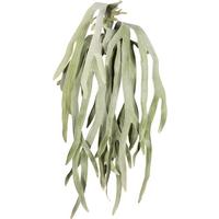 Kunstpflanze Grau/grün, 80 Cm - Grau/Grün, Design, Kunststoff (80cm) - P & B