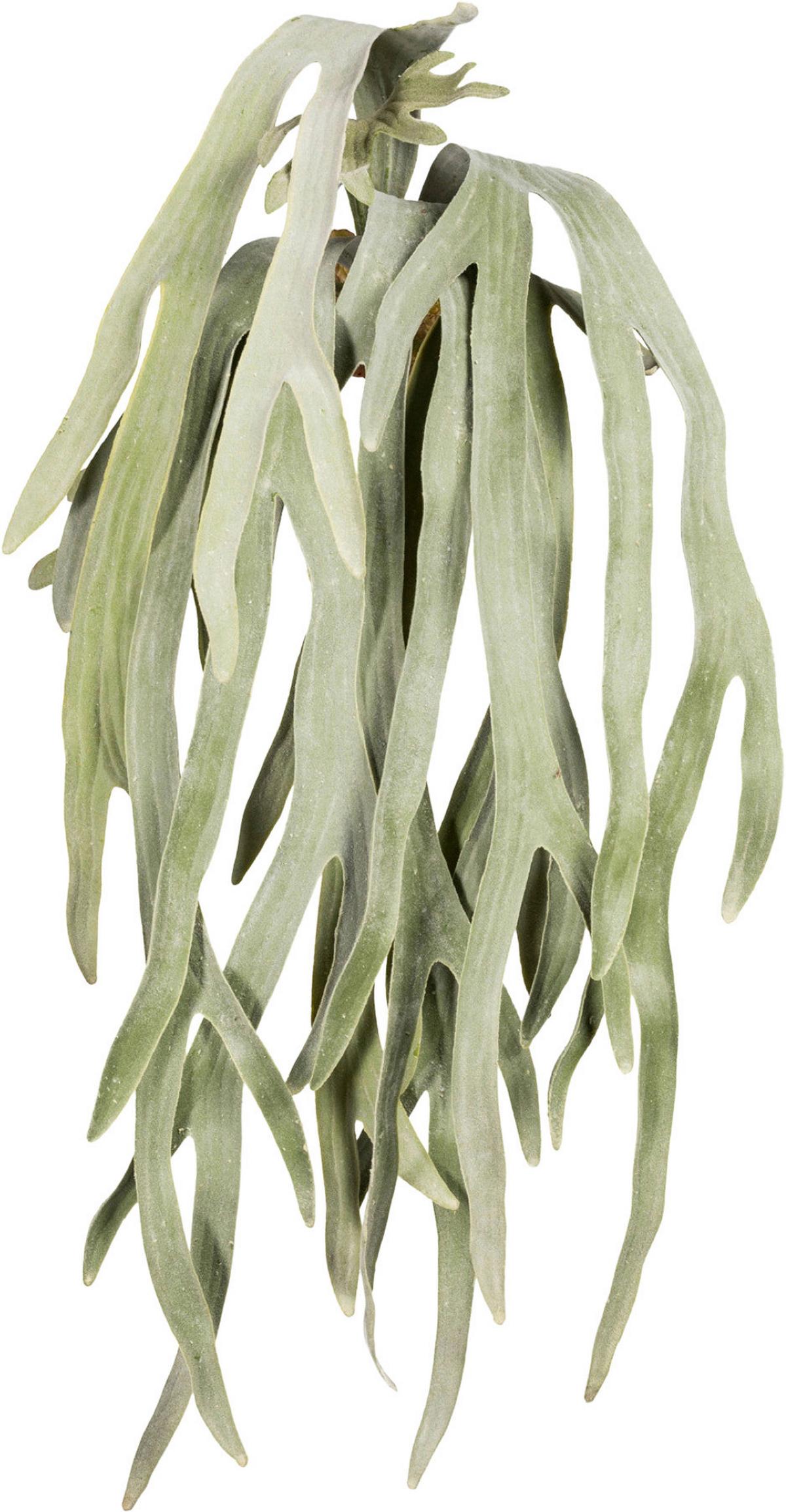 Kunstpflanze Grau/grün, 80 Cm - Grau/Grün, Design, Kunststoff (80cm) - P & B