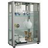 Vitrine Sintalo Silberfarben B: 60 Cm - Silberfarben, MODERN, Glas/Holzwerkstoff (60/80/25cm) - MID.YOU