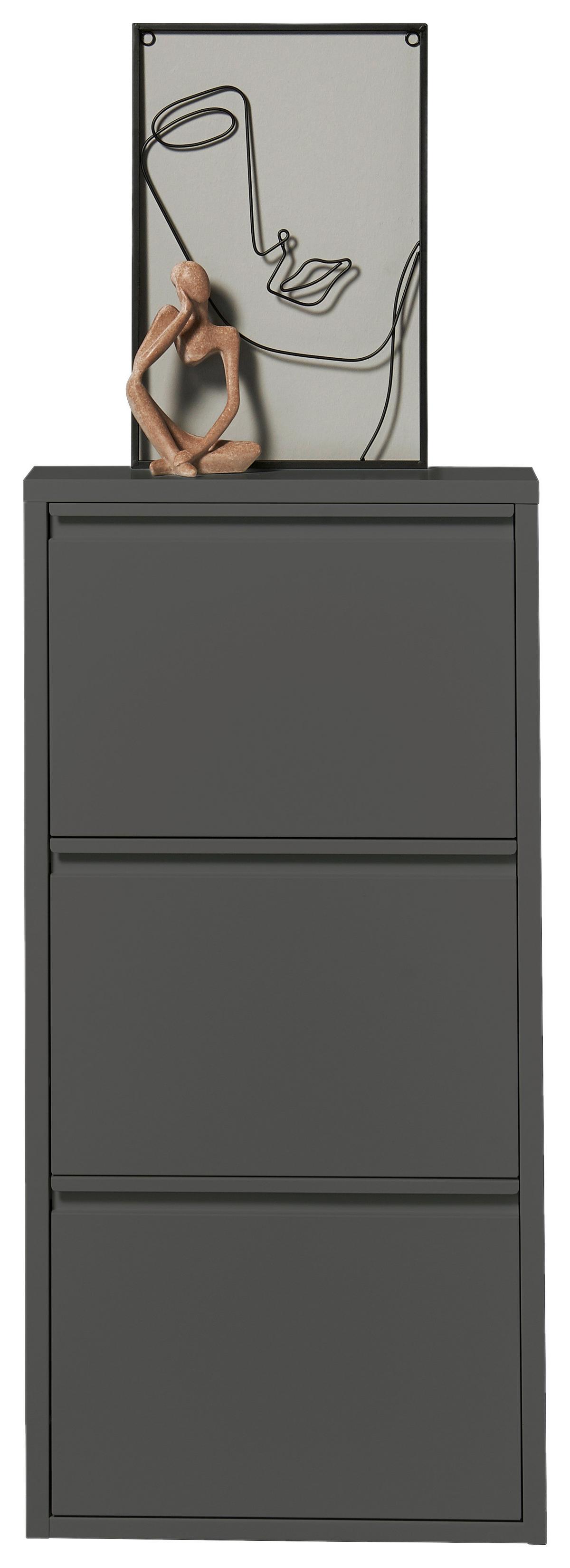 Vyklápěcí botník BERT antracit - antracitová, Konvenční, kov (51/104/16cm) - Mömax